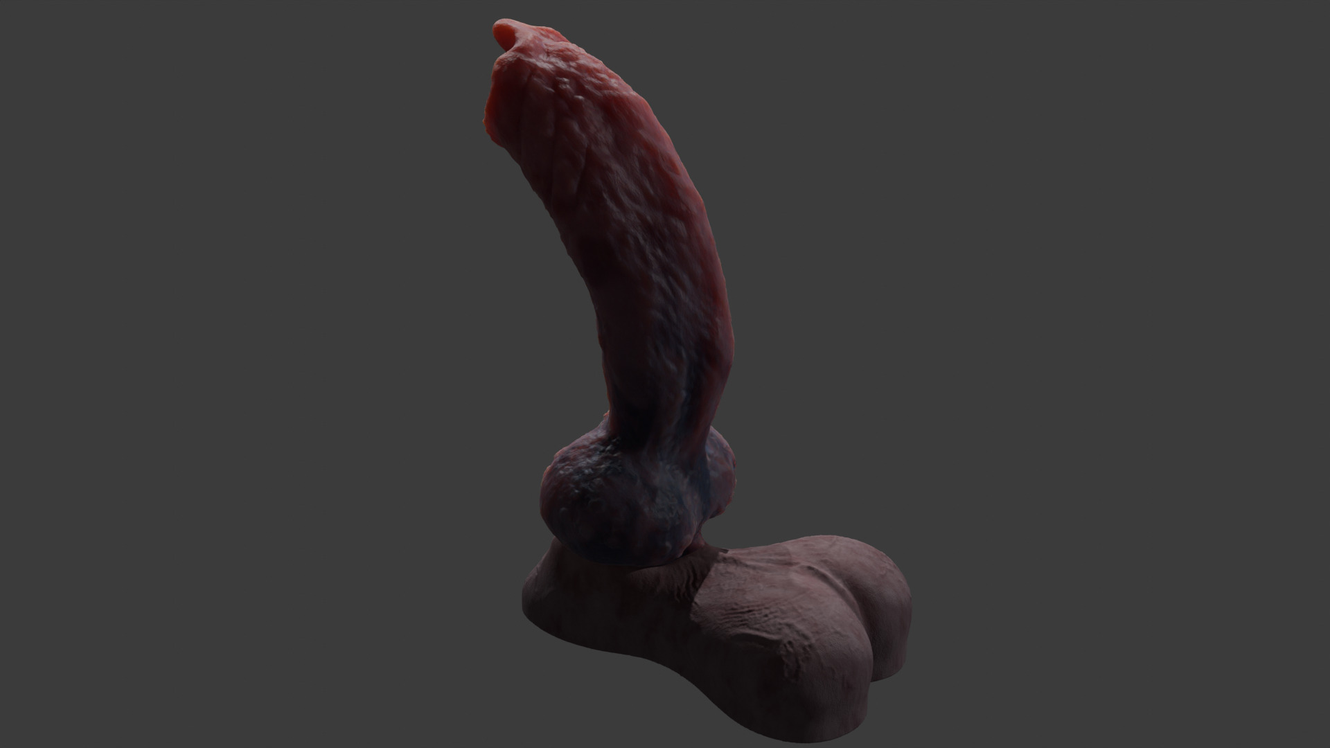 Demon Wolf Penis Rigged Low-poly 3D model_7