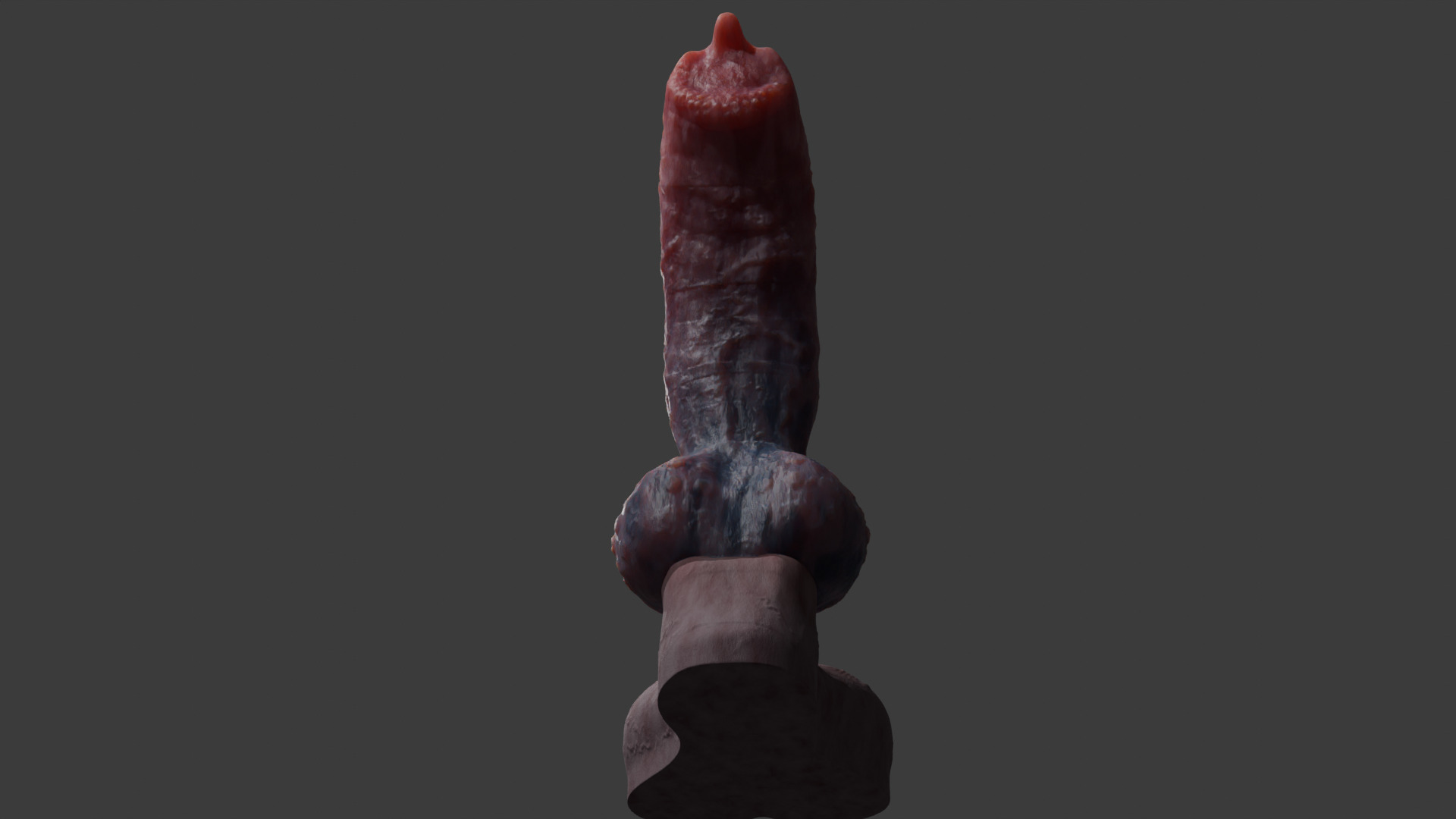Demon Wolf Penis Rigged Low-poly 3D model_9