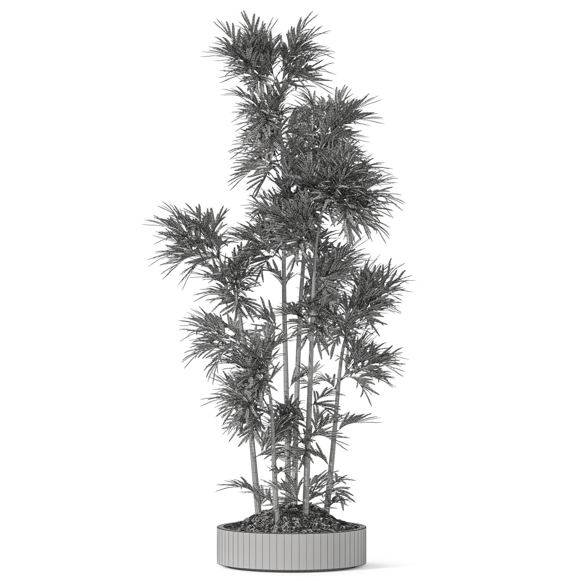 Plants collection 1195 3D model_4