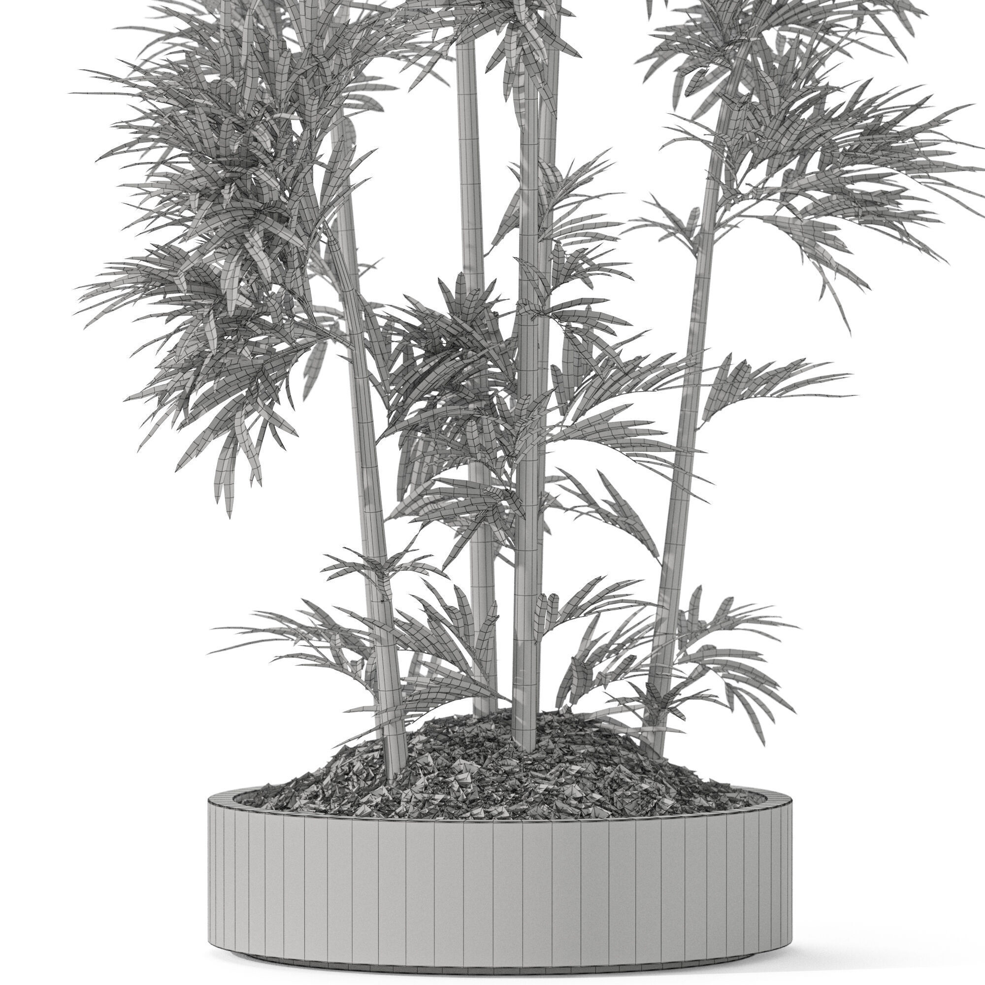 Plants collection 1195 3D model_5