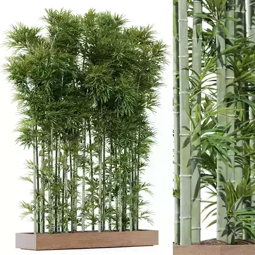 Plants collection 1196 3D model