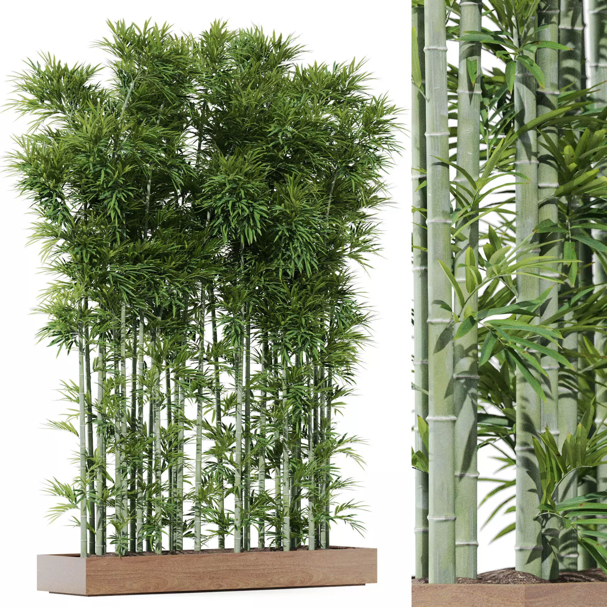 Plants collection 1196 3D model_0