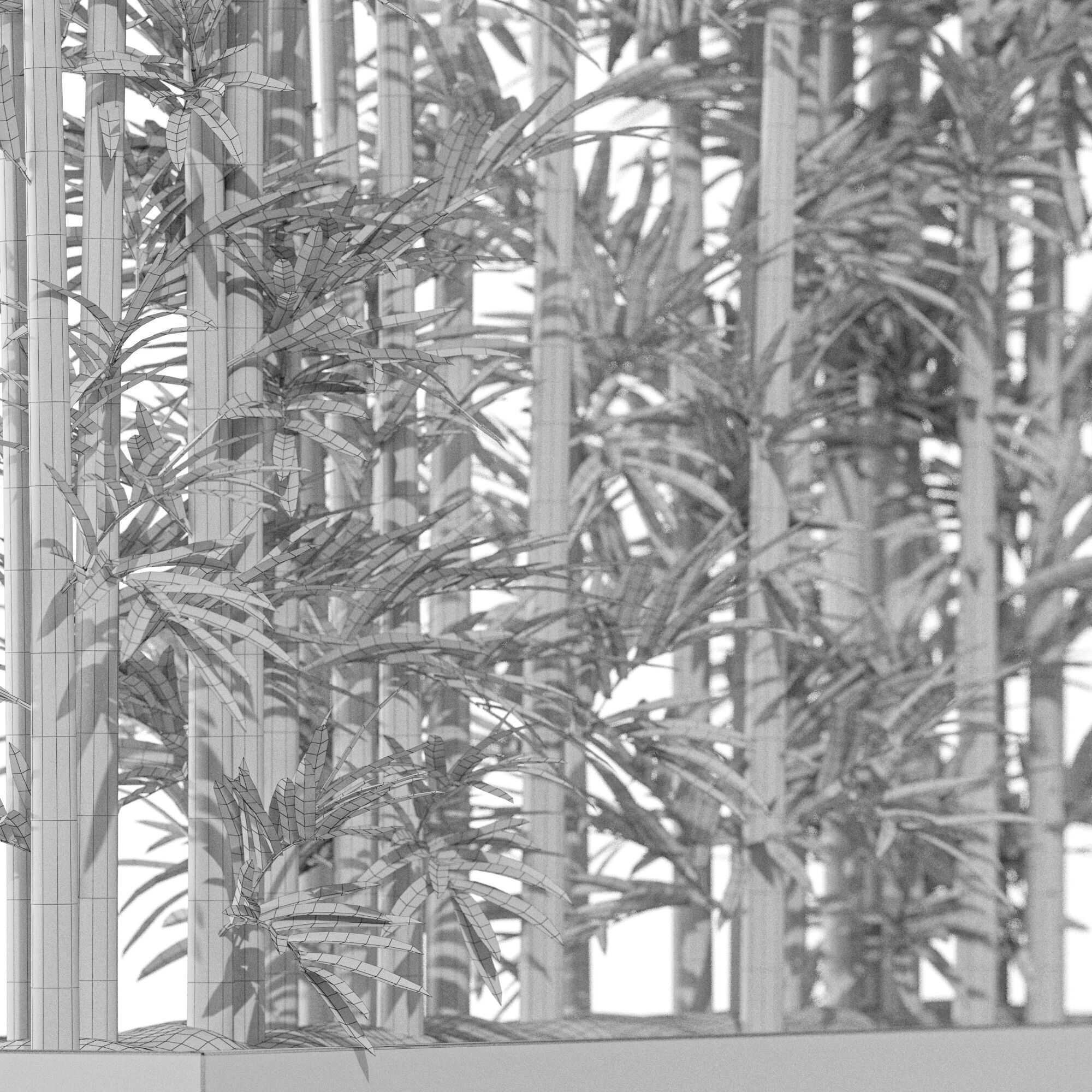 Plants collection 1196 3D model_5