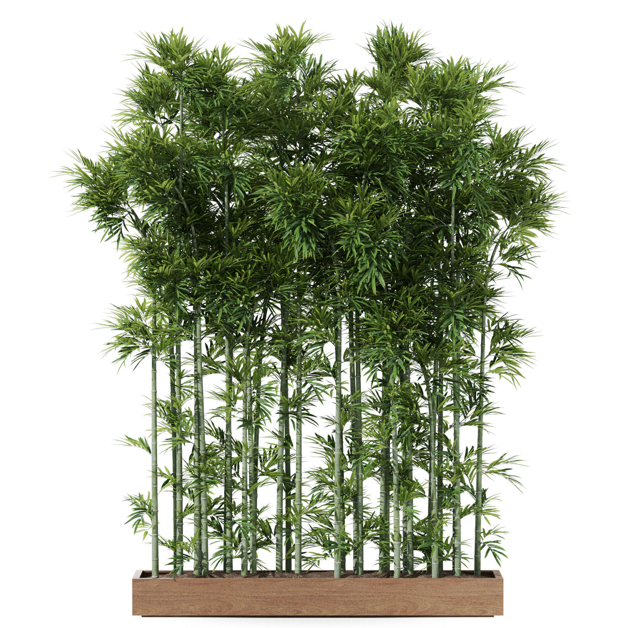 Plants collection 1196 3D model_1