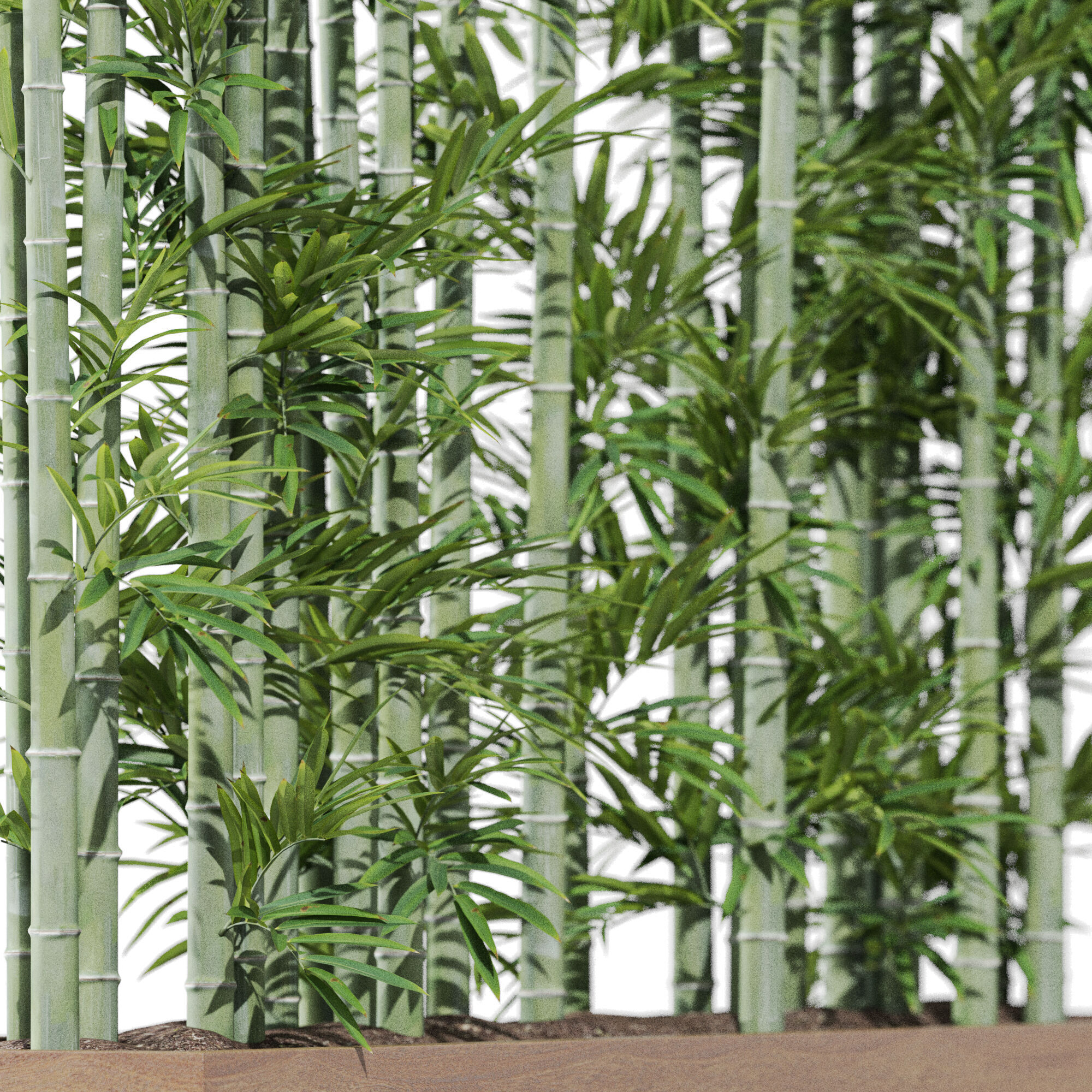 Plants collection 1196 3D model_2