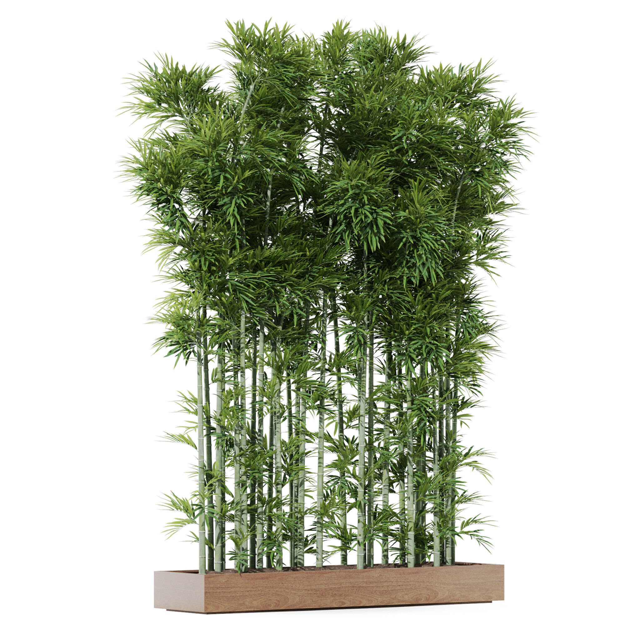 Plants collection 1196 3D model_3