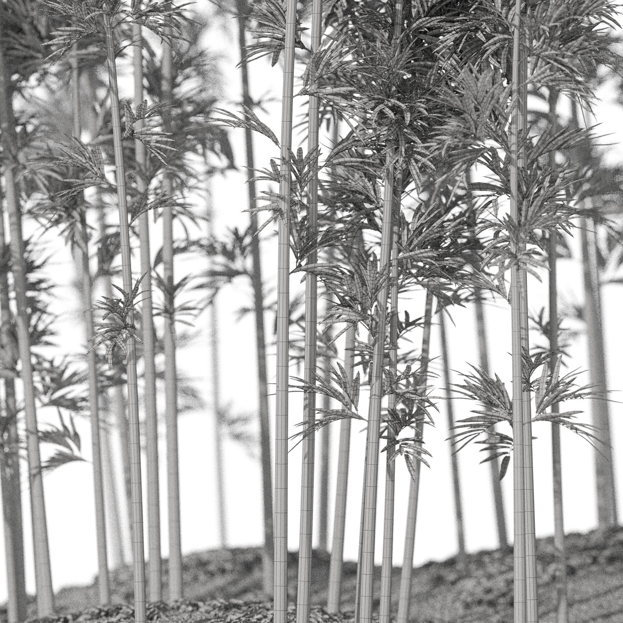 Plants collection 1197 Bamboo Scatter 3D model_6