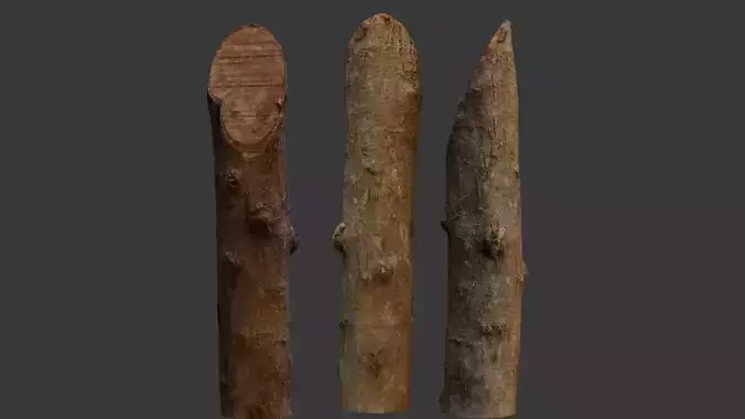 Wooden Branch 3D Scan