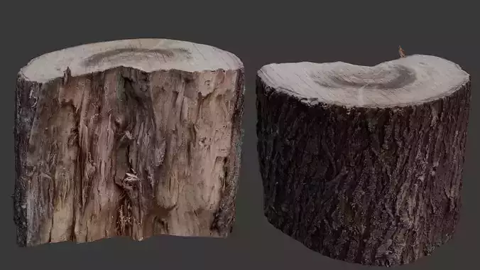 Tree Log 3D Scan
