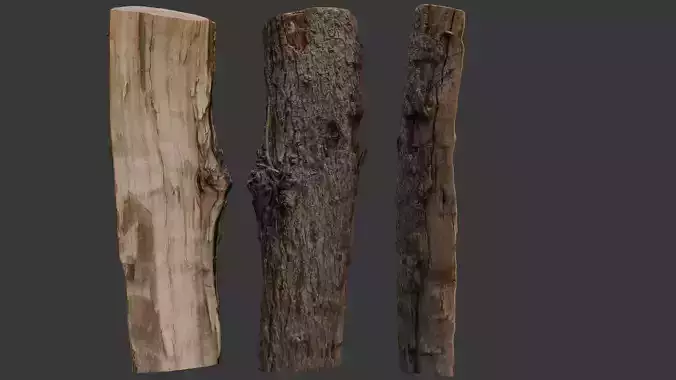 Tree Branch 3D Scan