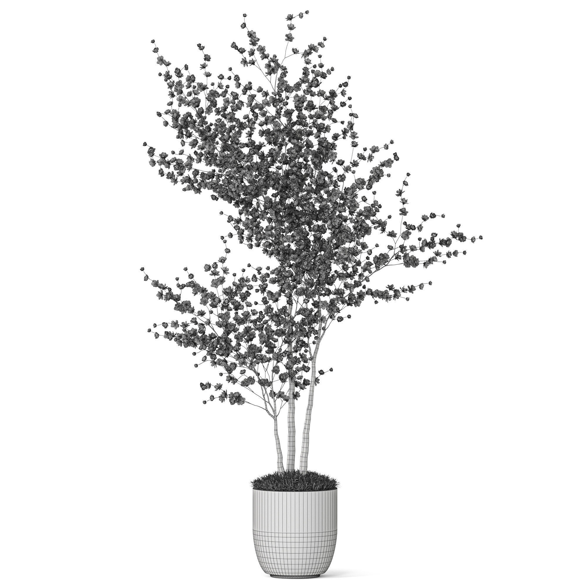 Plants collection 1198 3D model_4
