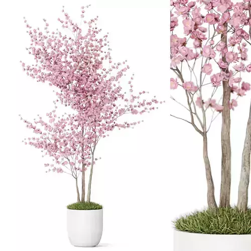 Plants collection 1198 3D model