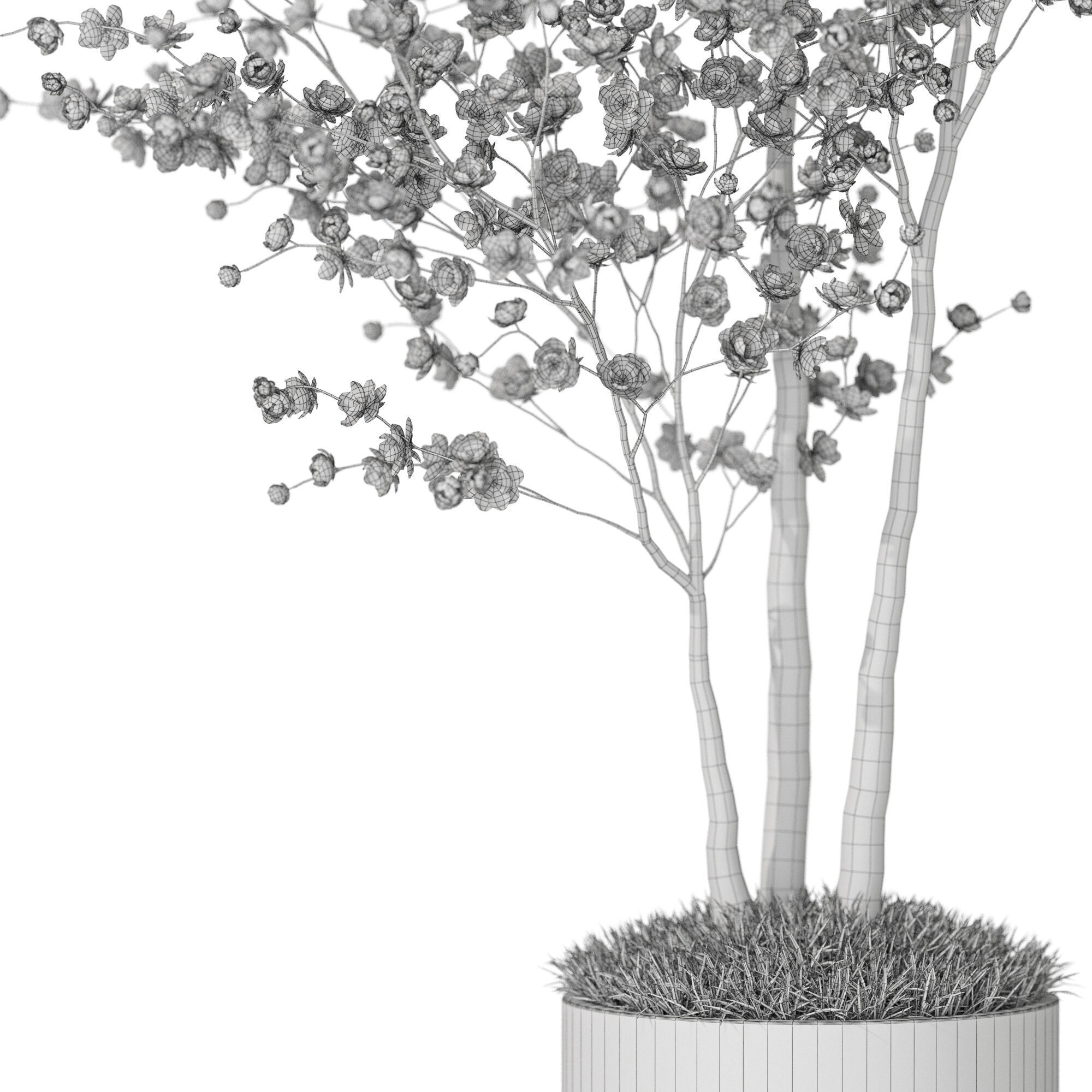 Plants collection 1198 3D model_5