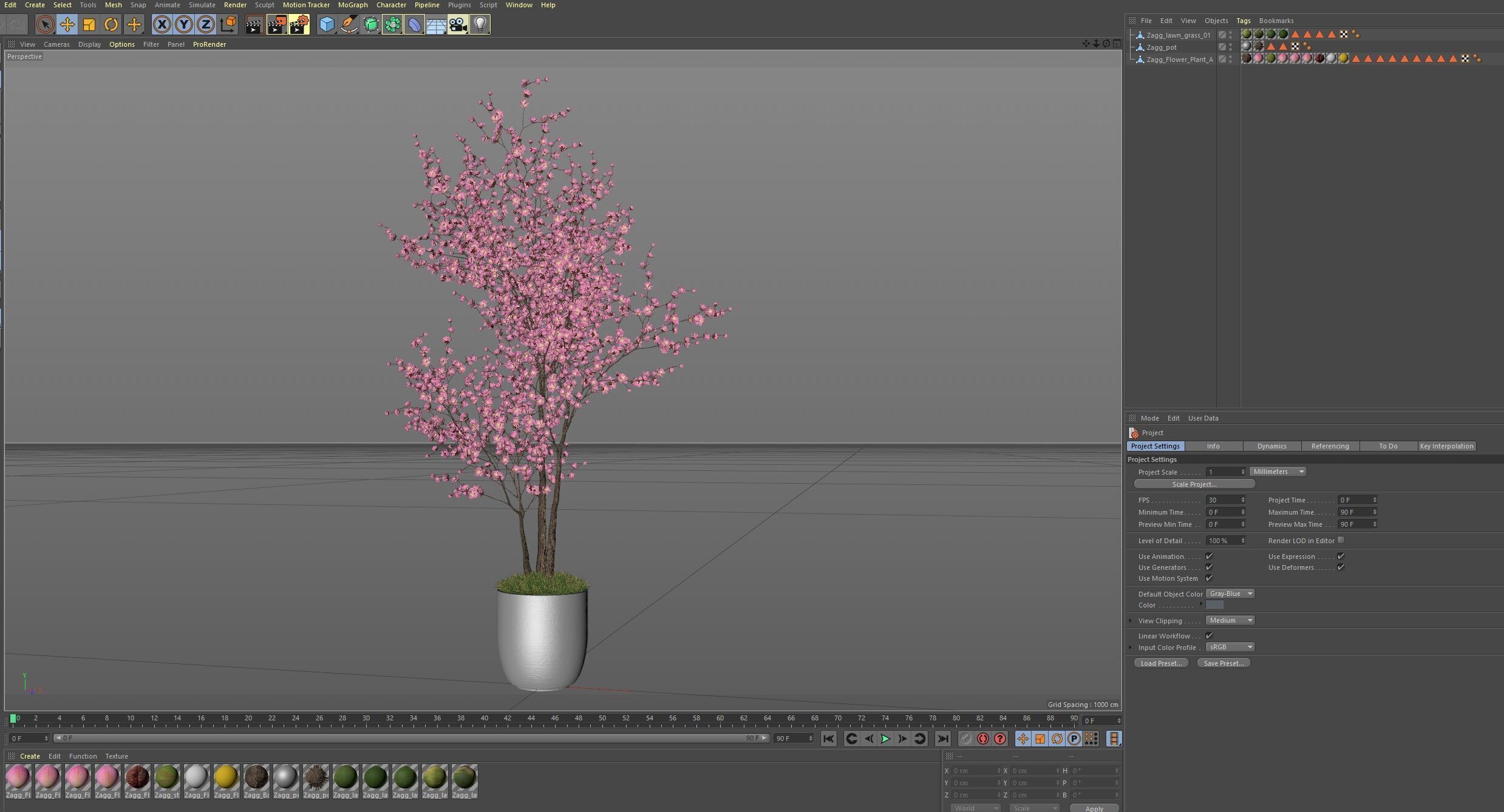 Plants collection 1198 3D model_7