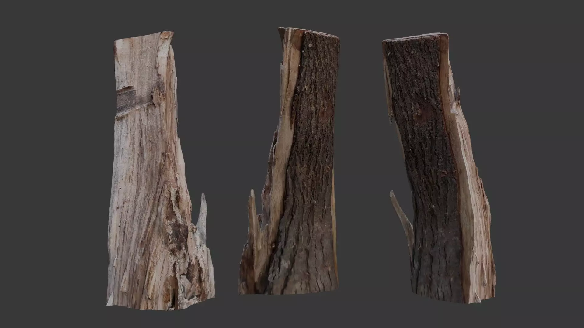 Broken Tree Trunk 3D Scan Low-poly 3D model_0
