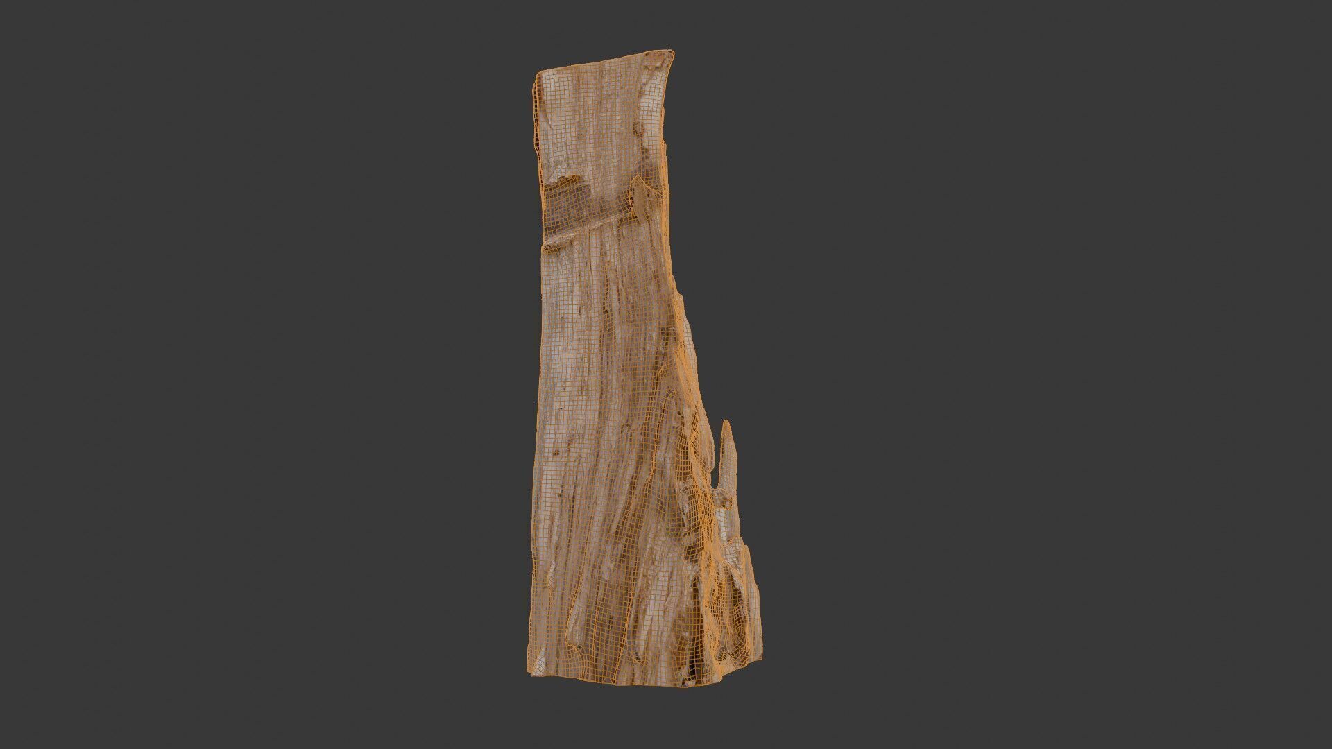 Broken Tree Trunk 3D Scan Low-poly 3D model_2