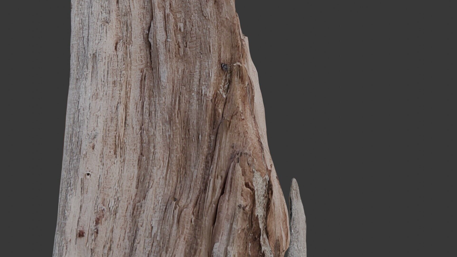 Broken Tree Trunk 3D Scan Low-poly 3D model_3