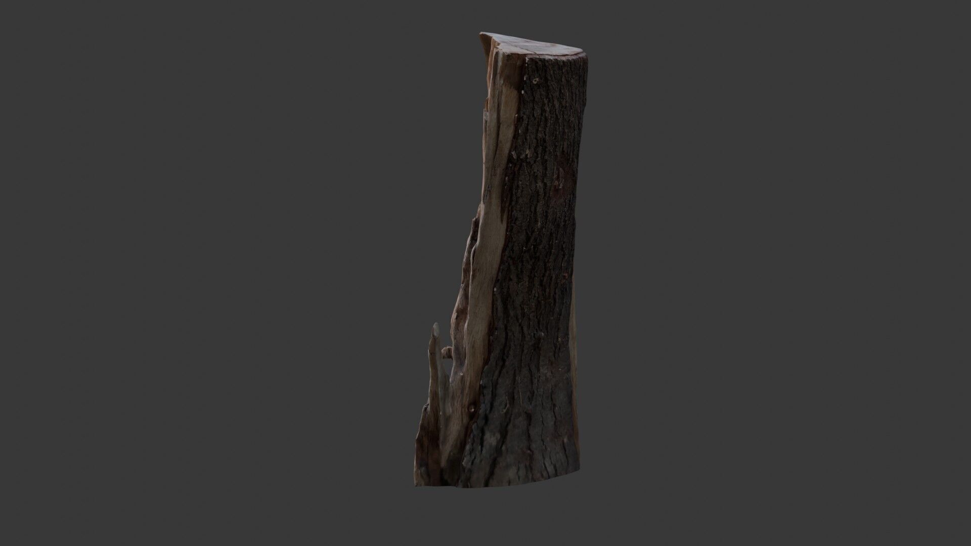 Broken Tree Trunk 3D Scan Low-poly 3D model_6