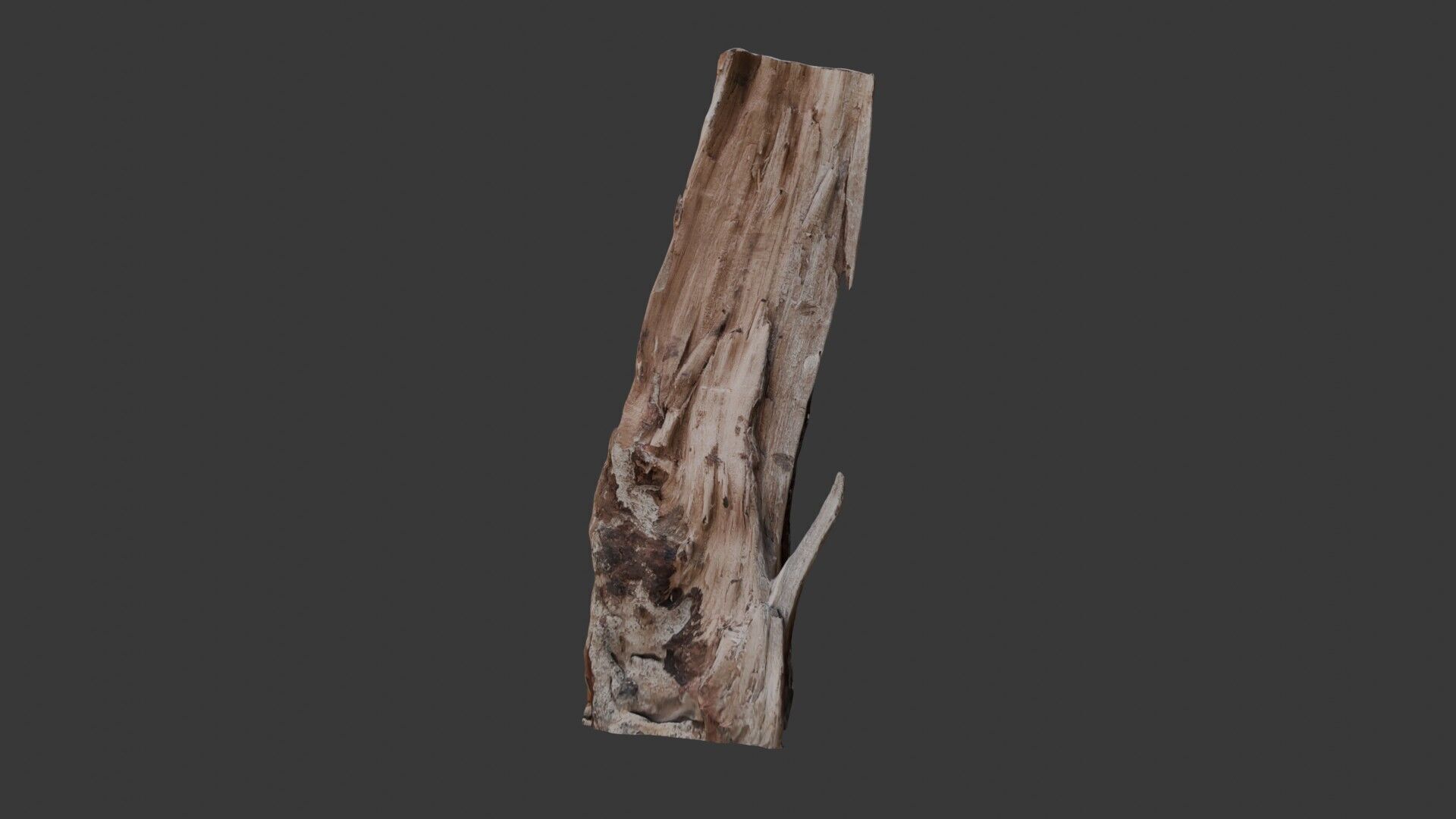 Broken Tree Trunk 3D Scan Low-poly 3D model_5