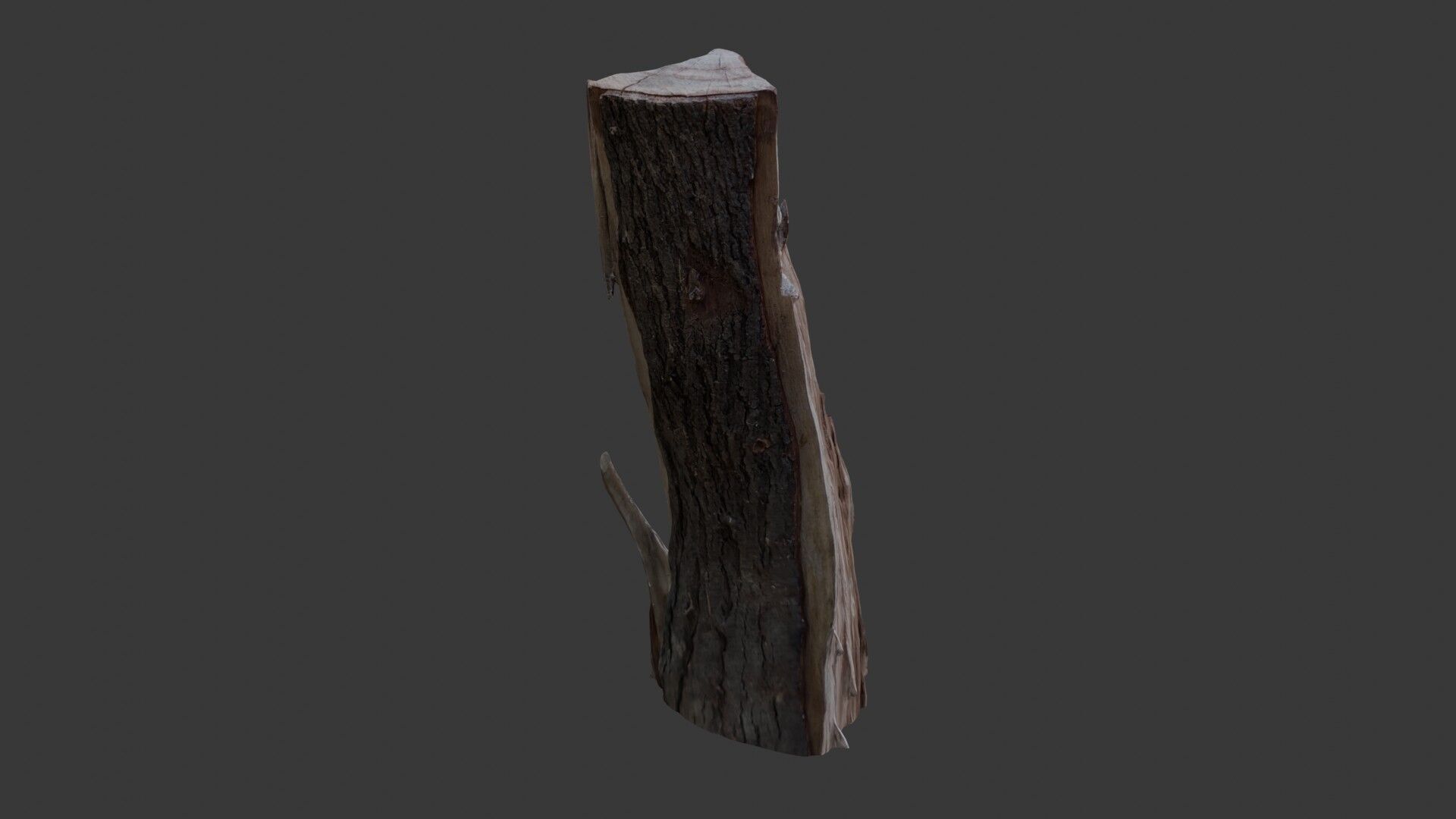 Broken Tree Trunk 3D Scan Low-poly 3D model_7