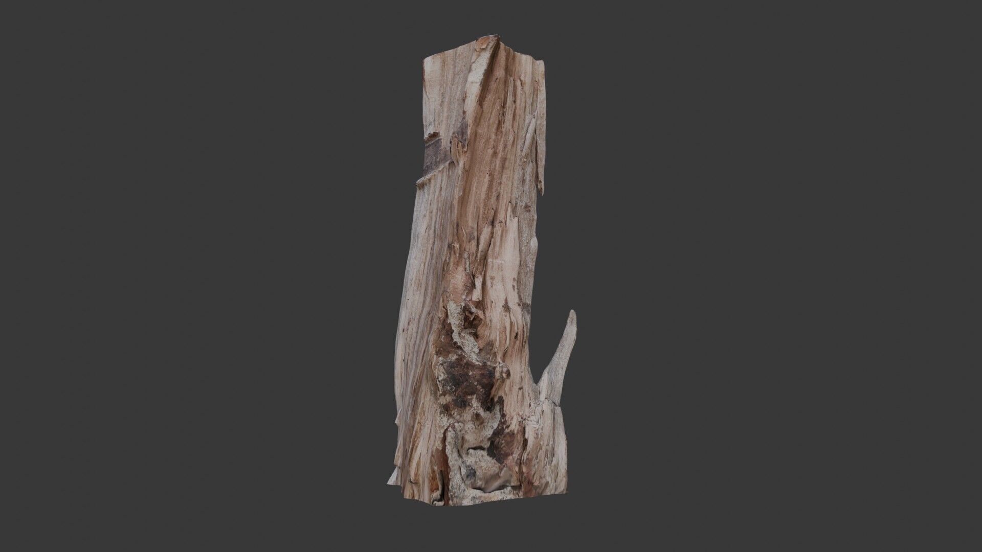 Broken Tree Trunk 3D Scan Low-poly 3D model_4