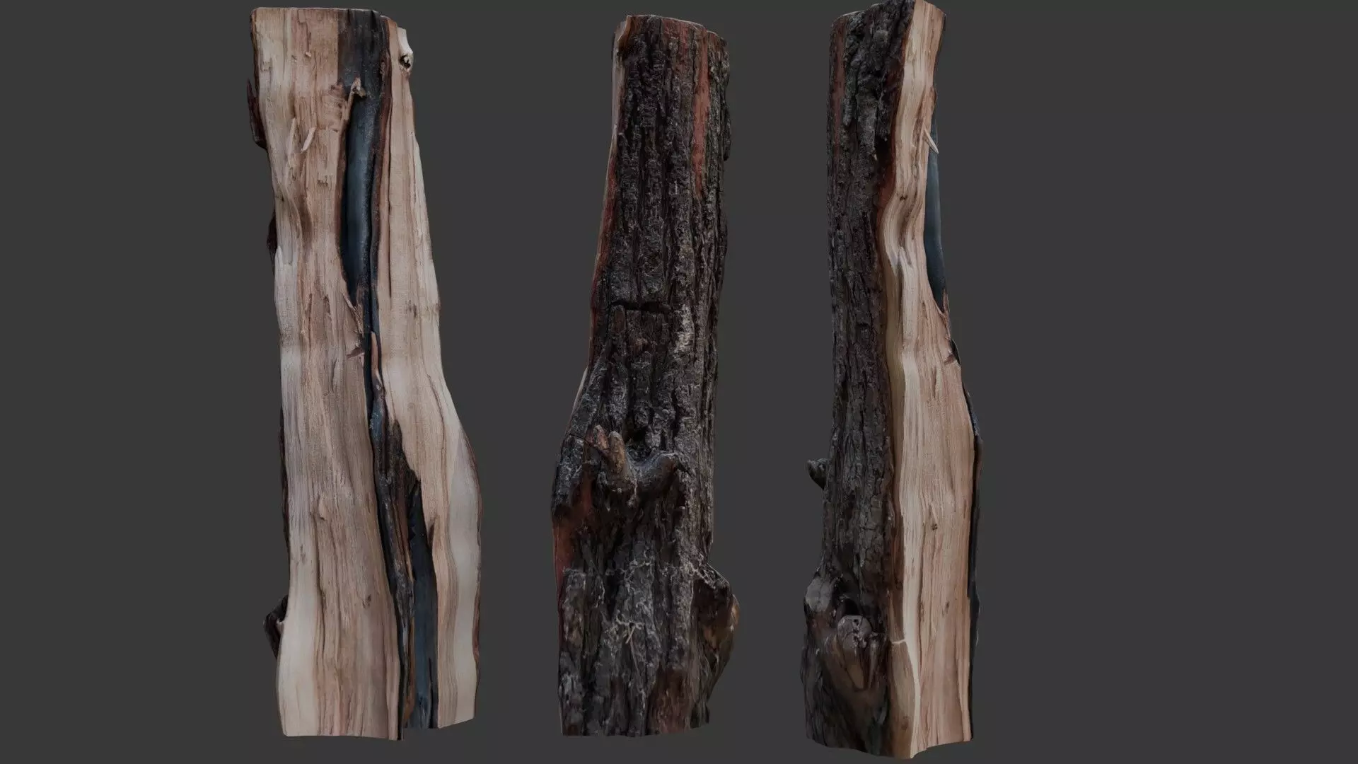 Burnt Tree Stump 3D Scan Low-poly 3D model_0