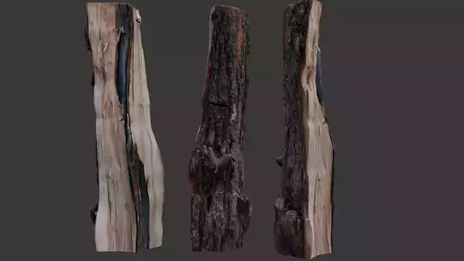 Burnt Tree Stump 3D Scan