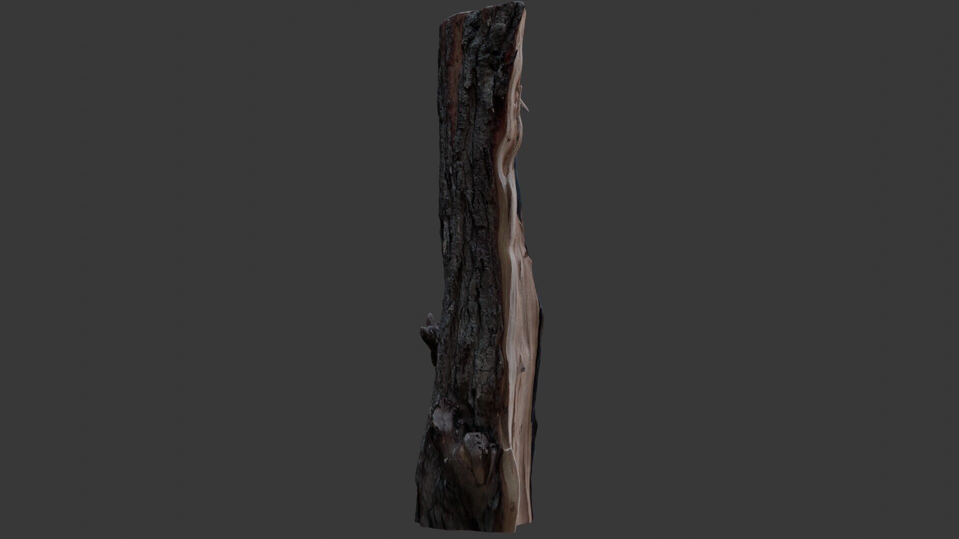 Burnt Tree Stump 3D Scan Low-poly 3D model_5