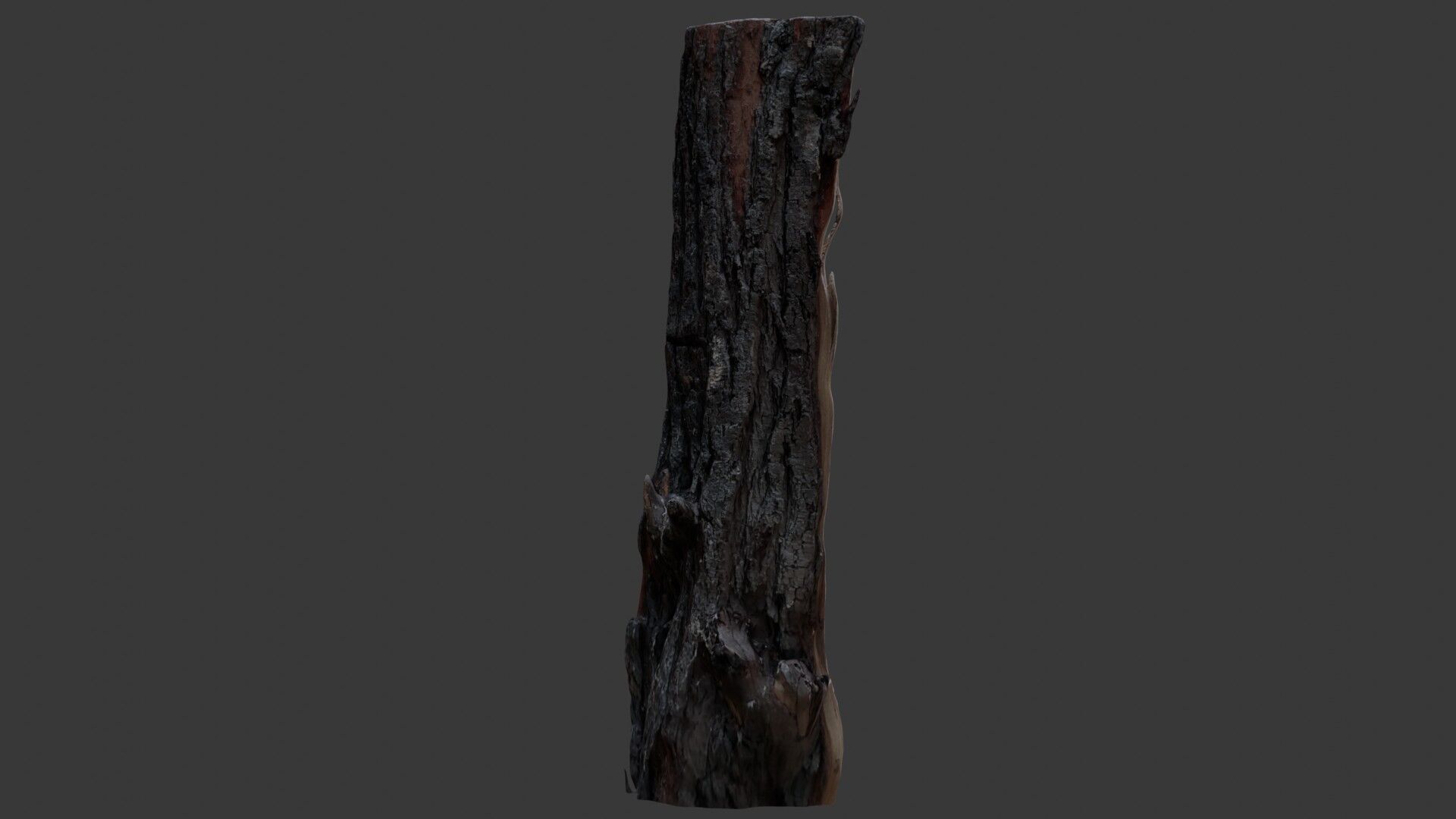 Burnt Tree Stump 3D Scan Low-poly 3D model_6