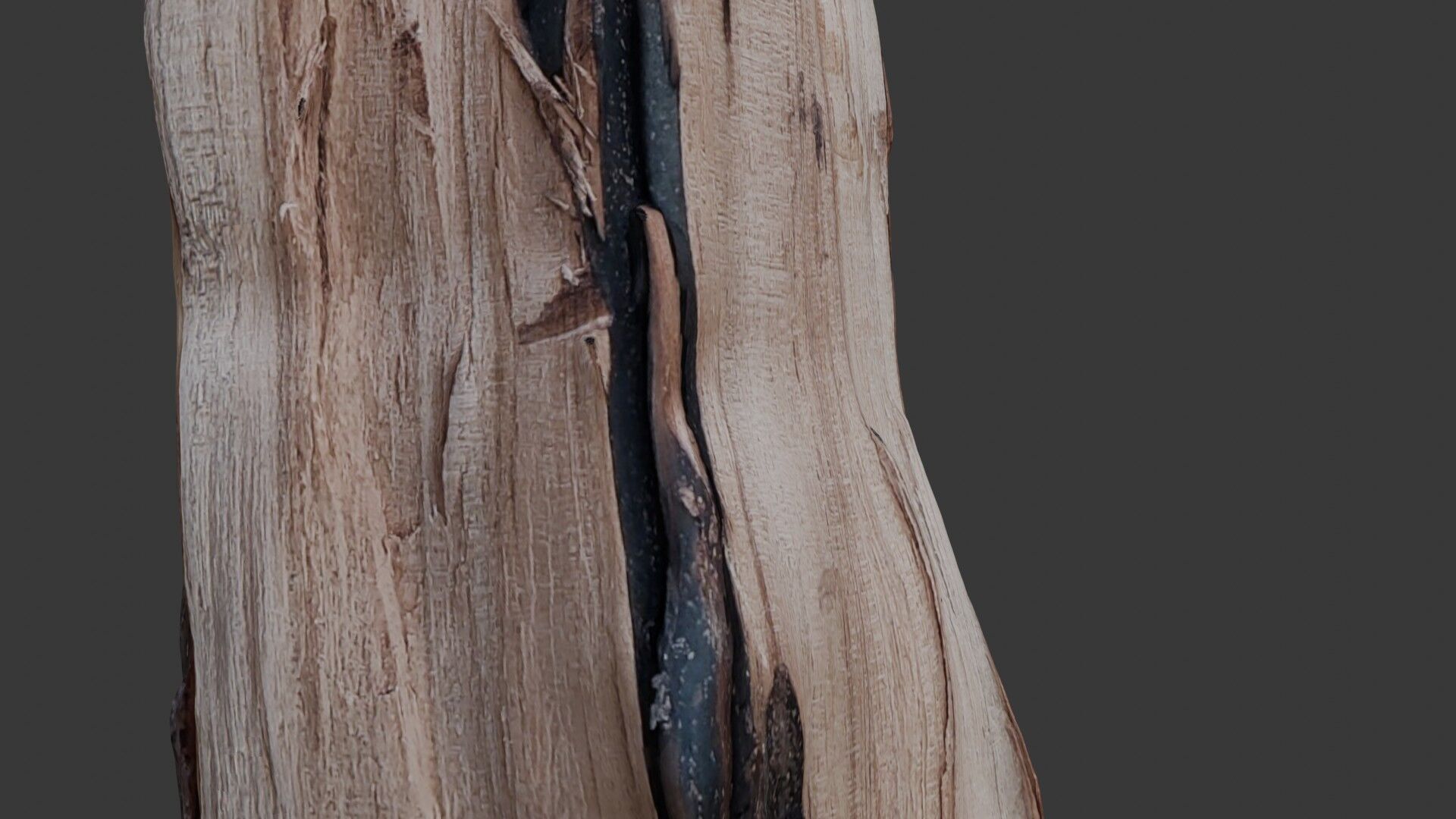 Burnt Tree Stump 3D Scan Low-poly 3D model_3