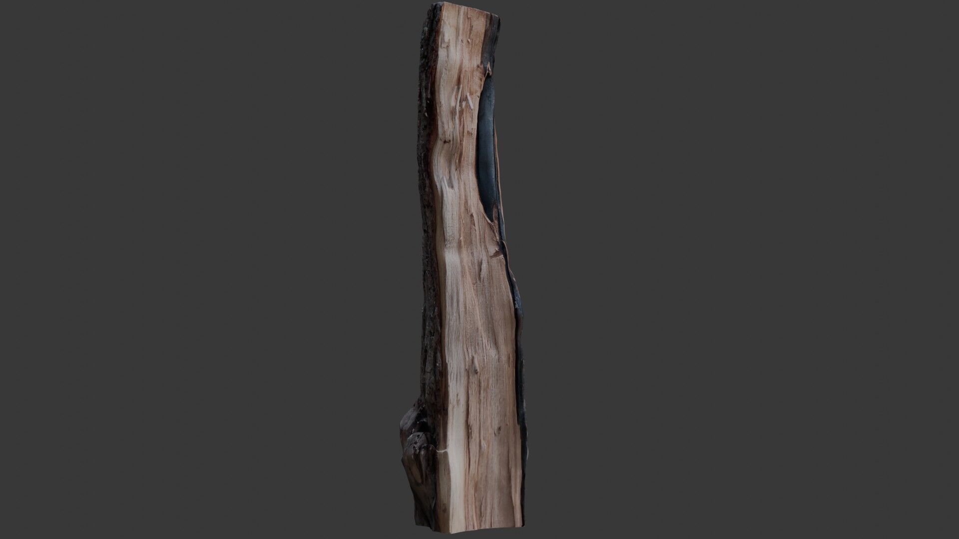 Burnt Tree Stump 3D Scan Low-poly 3D model_4