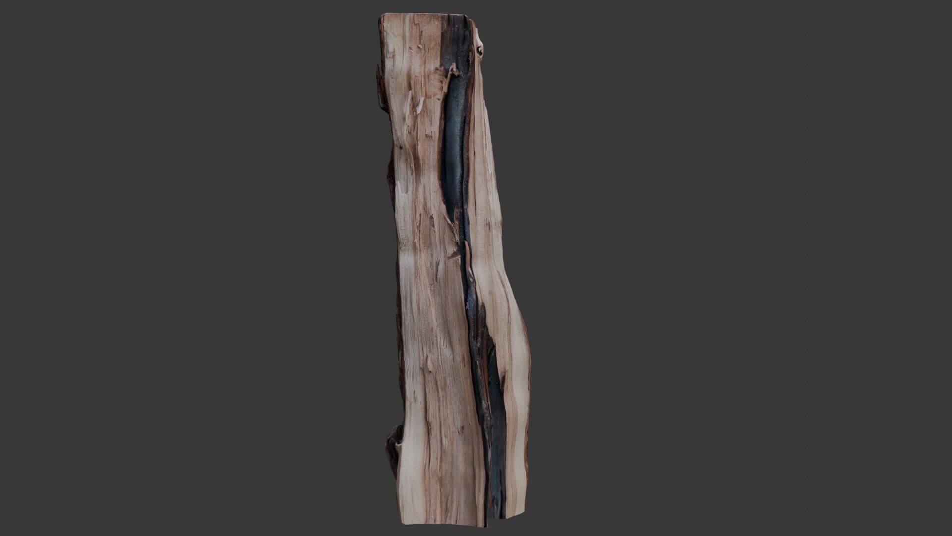 Burnt Tree Stump 3D Scan Low-poly 3D model_1