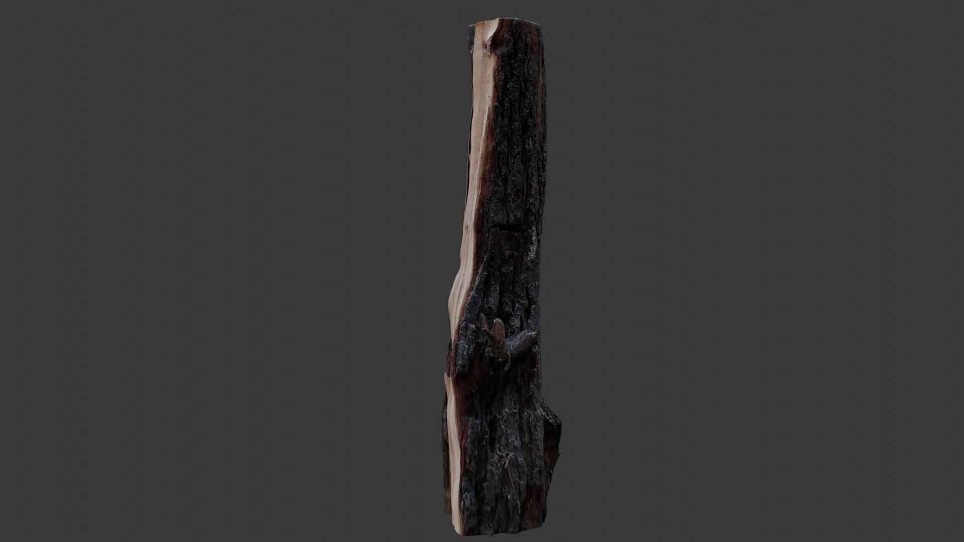 Burnt Tree Stump 3D Scan Low-poly 3D model_7