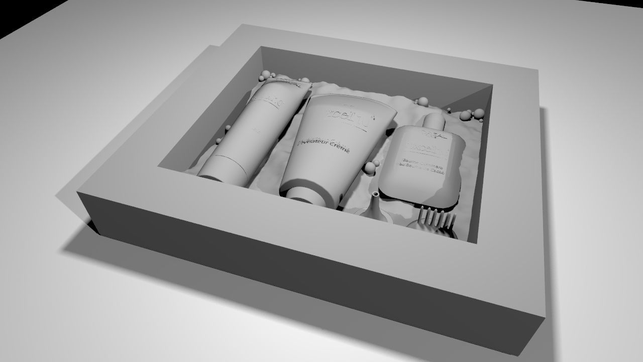 LOreal Excell 10 hair color 3D model_1