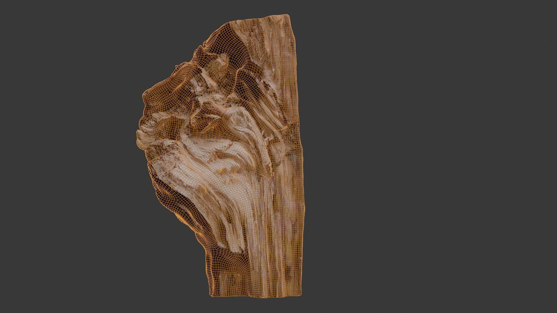 Weathered Tree Stump 3D Scan Low-poly 3D model_2
