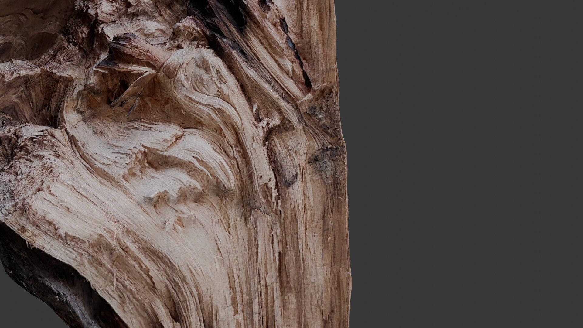 Weathered Tree Stump 3D Scan Low-poly 3D model_3