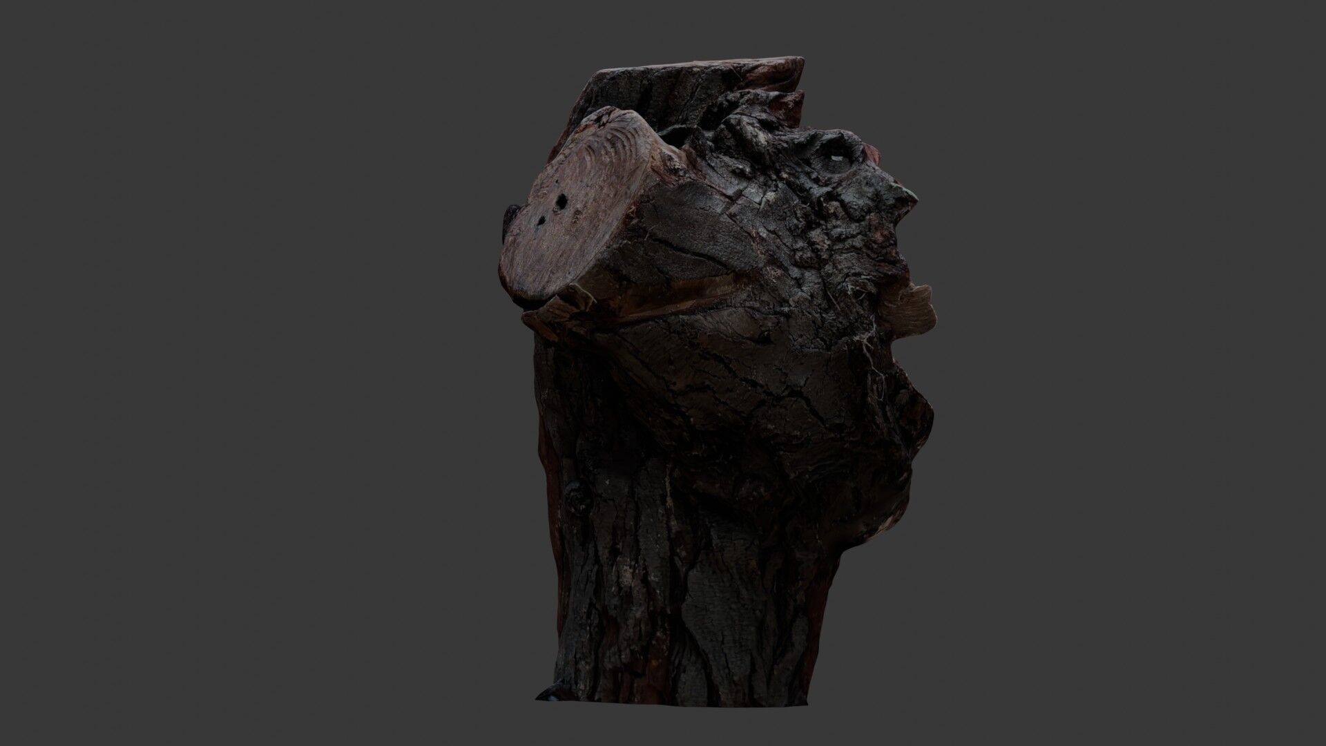 Weathered Tree Stump 3D Scan Low-poly 3D model_5