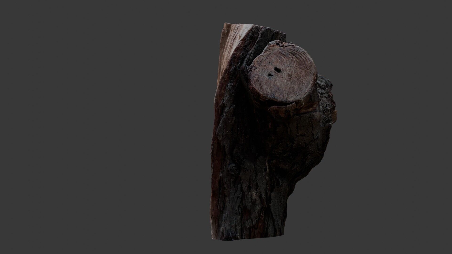 Weathered Tree Stump 3D Scan Low-poly 3D model_6