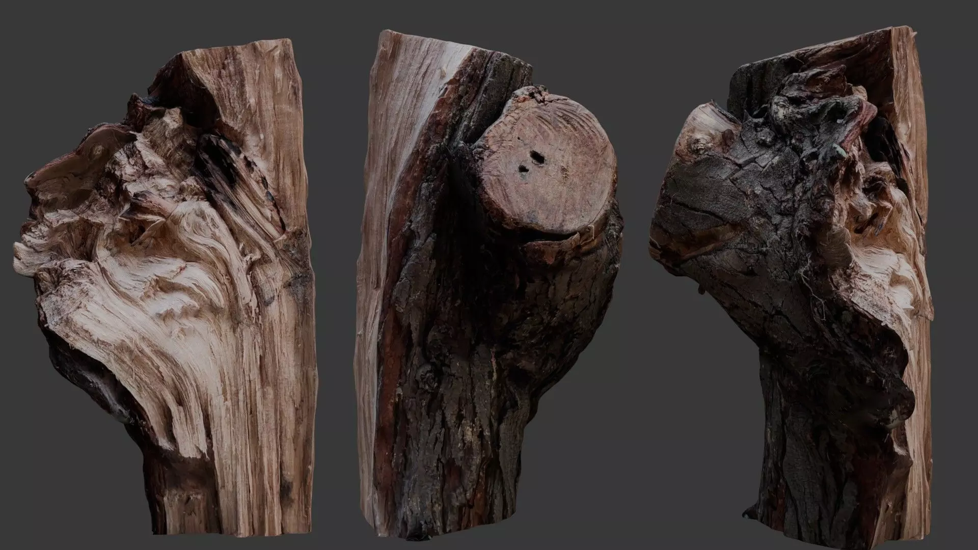 Weathered Tree Stump 3D Scan Low-poly 3D model_0