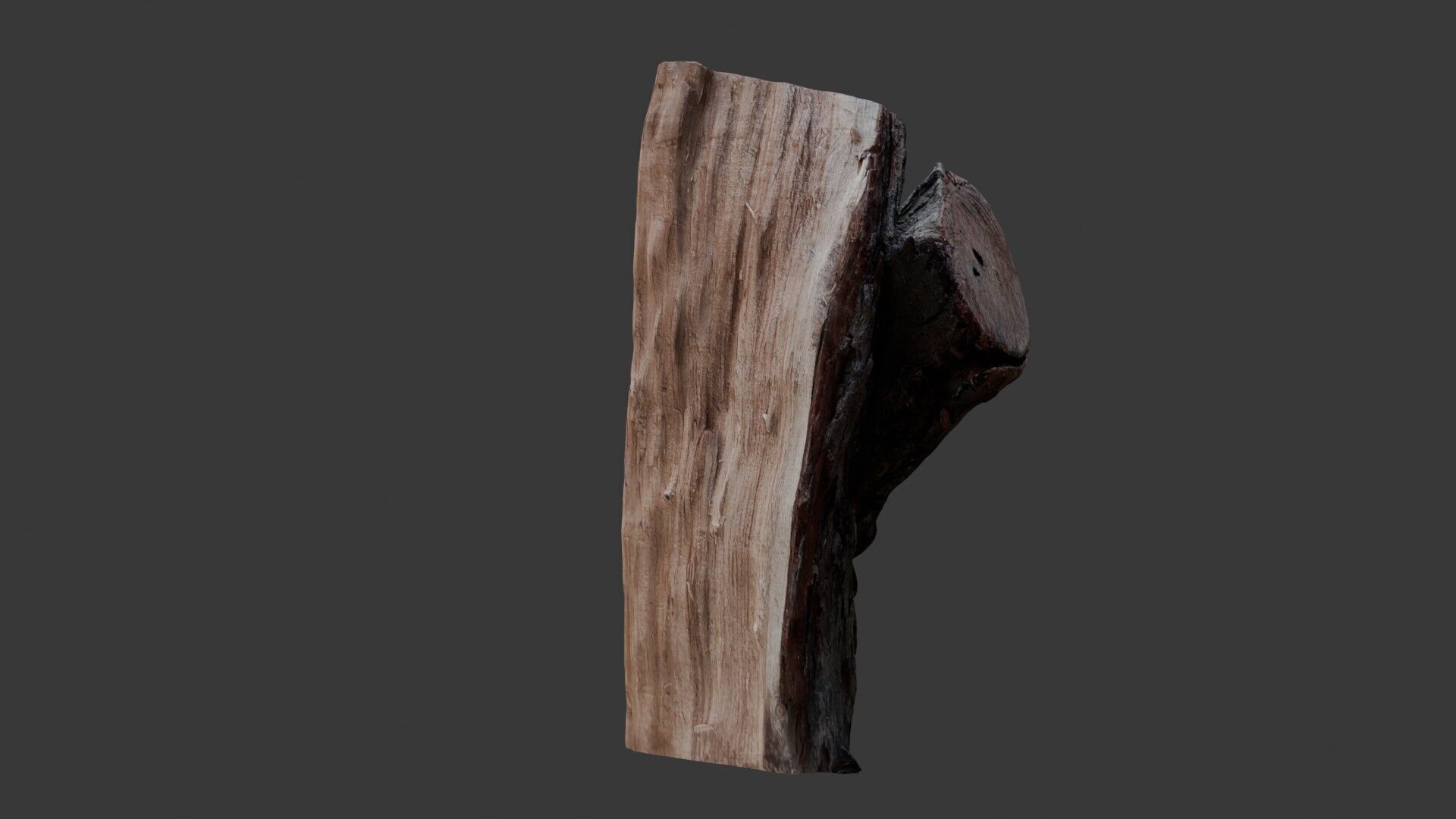 Weathered Tree Stump 3D Scan Low-poly 3D model_7