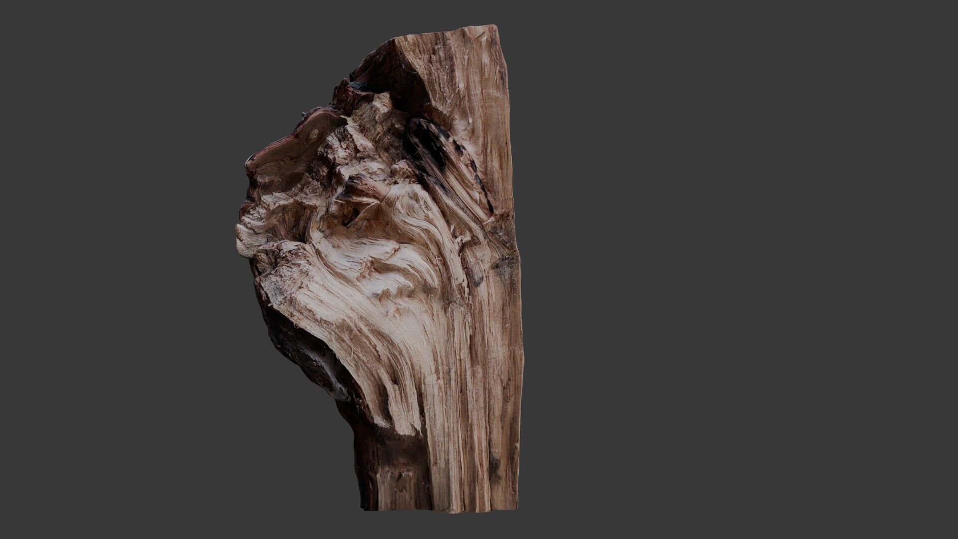Weathered Tree Stump 3D Scan Low-poly 3D model_1