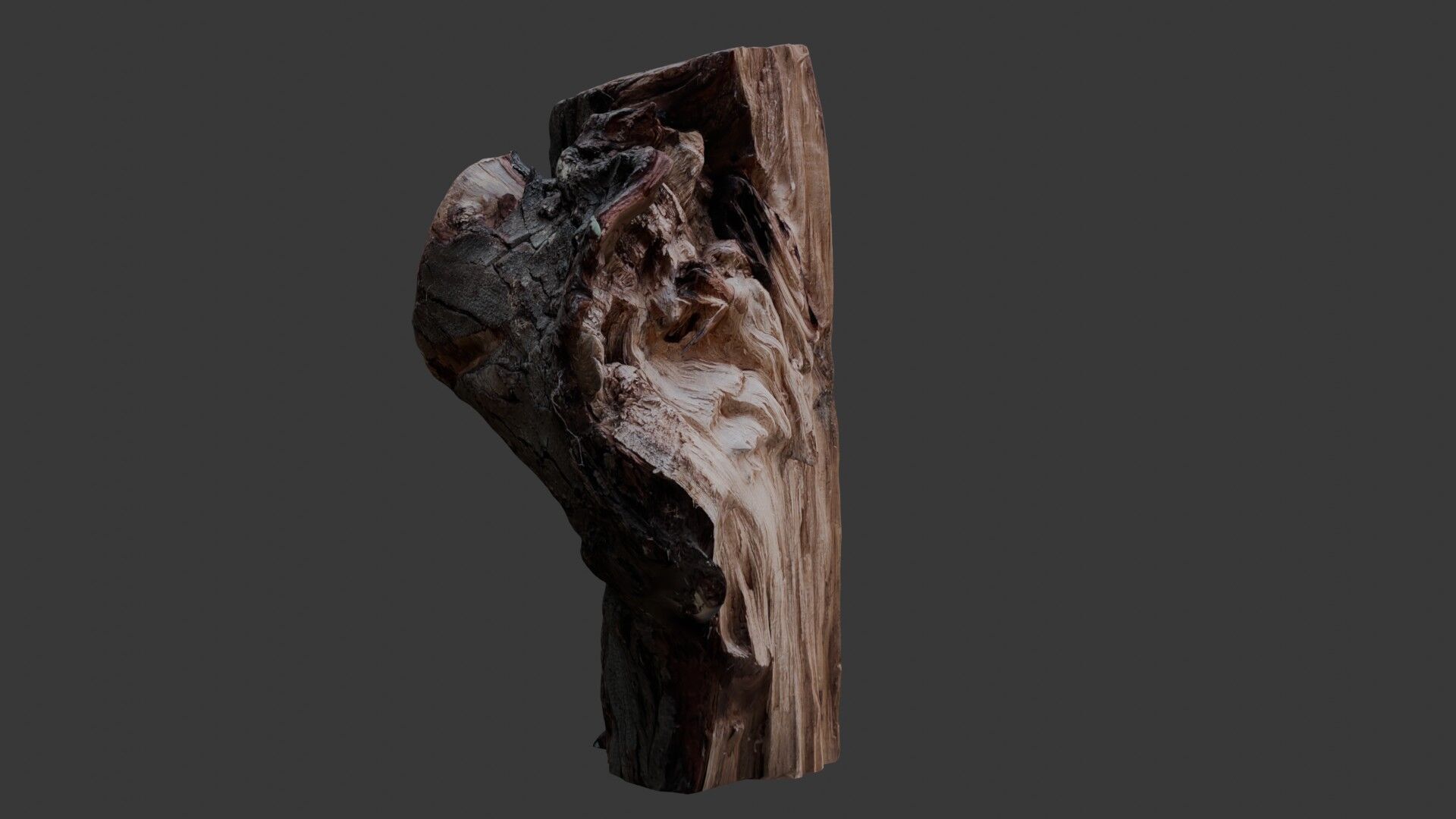 Weathered Tree Stump 3D Scan Low-poly 3D model_4
