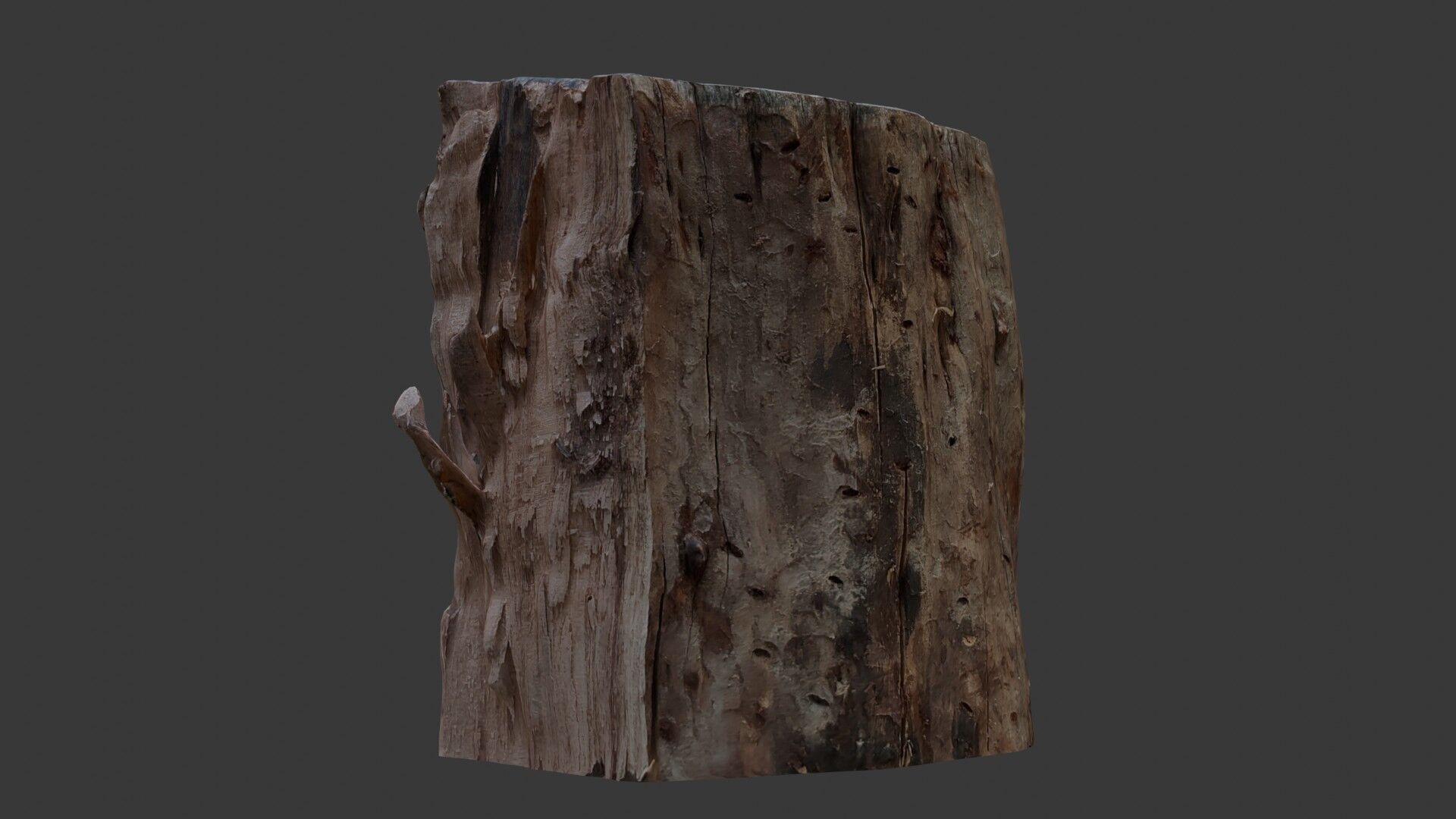 Decayed Wooden Stump 3D Scan Low-poly 3D model_6