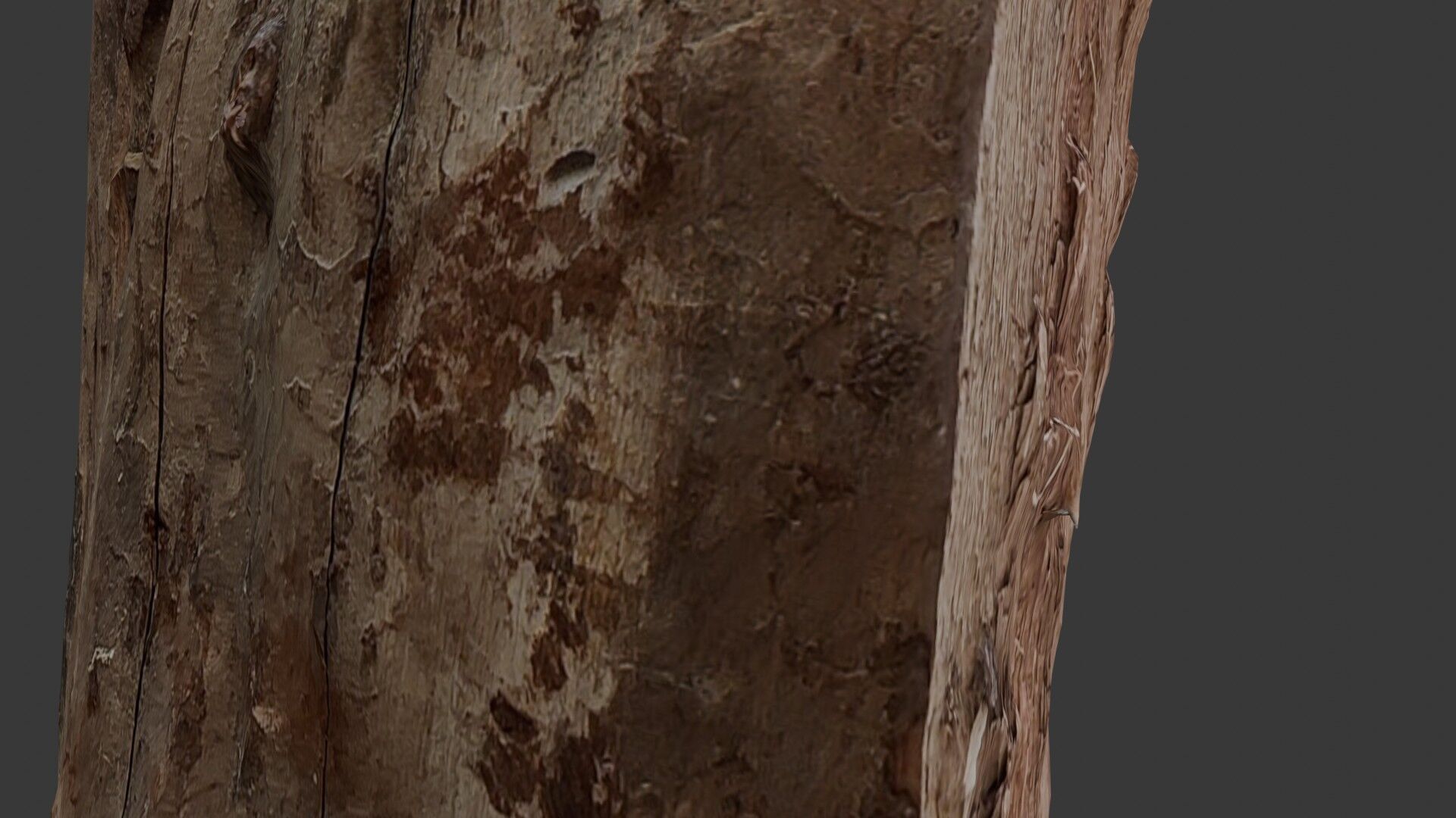 Decayed Wooden Stump 3D Scan Low-poly 3D model_3
