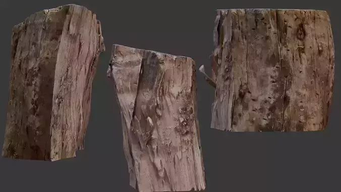 Decayed Wooden Stump 3D Scan