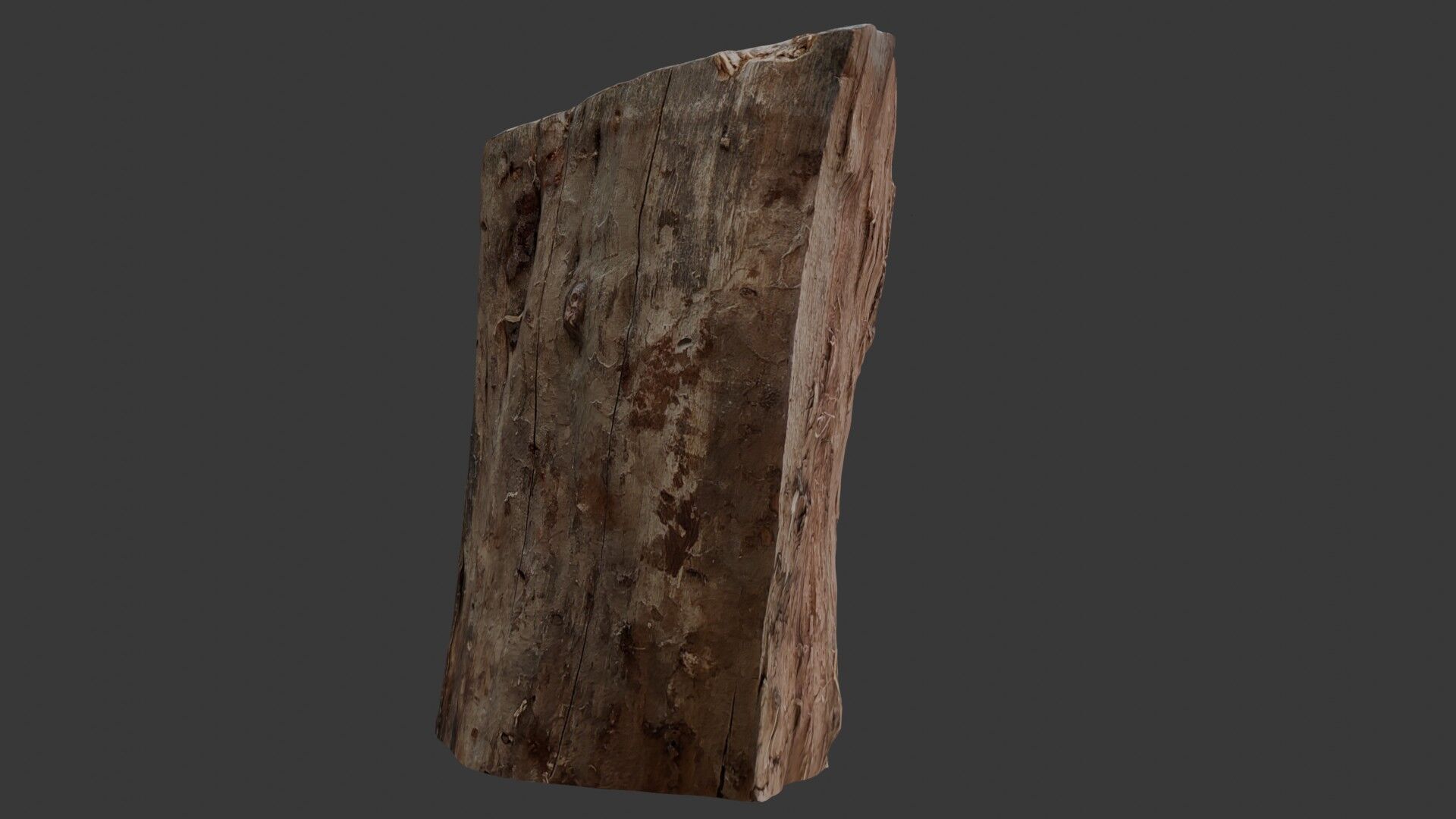 Decayed Wooden Stump 3D Scan Low-poly 3D model_1