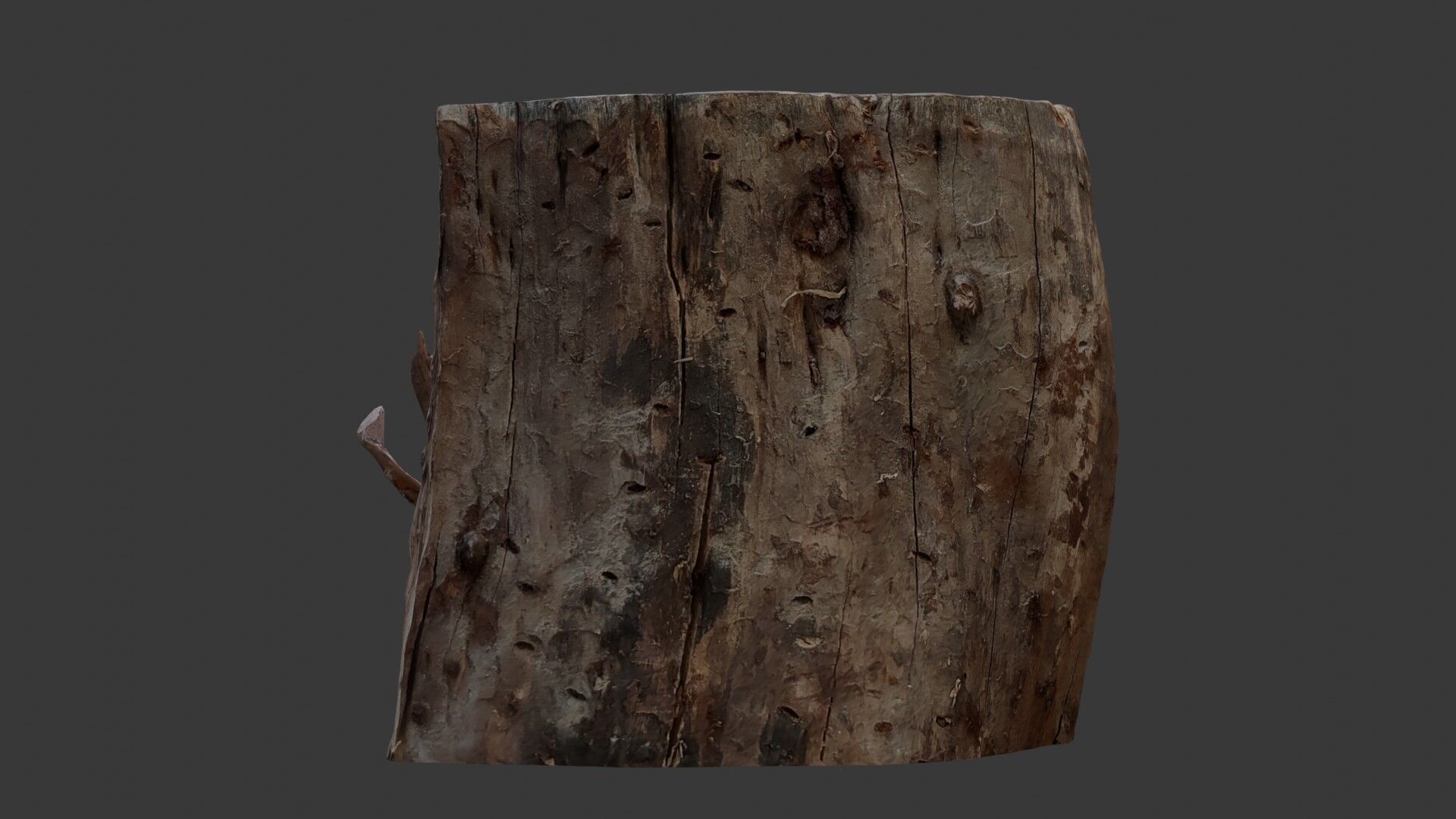 Decayed Wooden Stump 3D Scan Low-poly 3D model_5