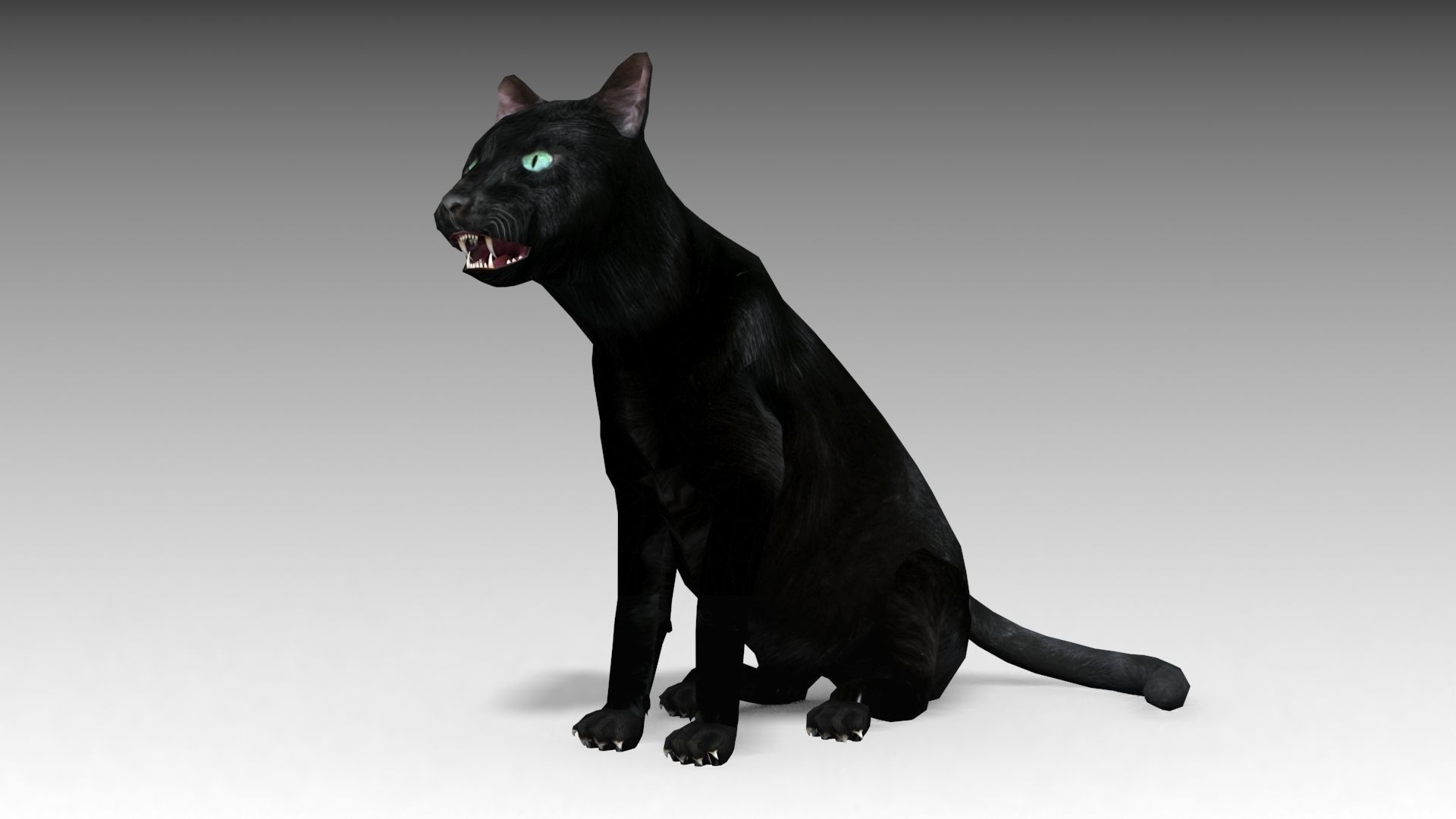 Black Cat Animated Low-poly 3D model_4