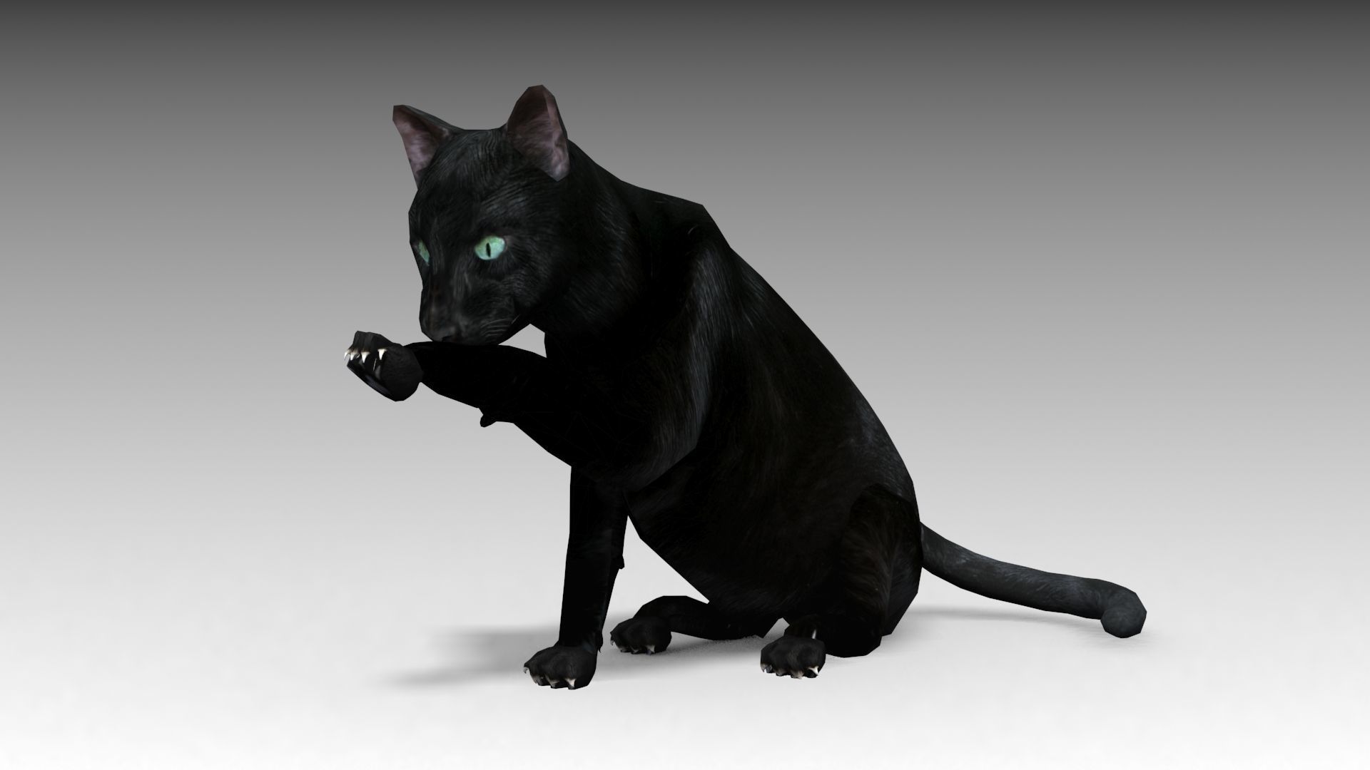 Black Cat Animated Low-poly 3D model_7