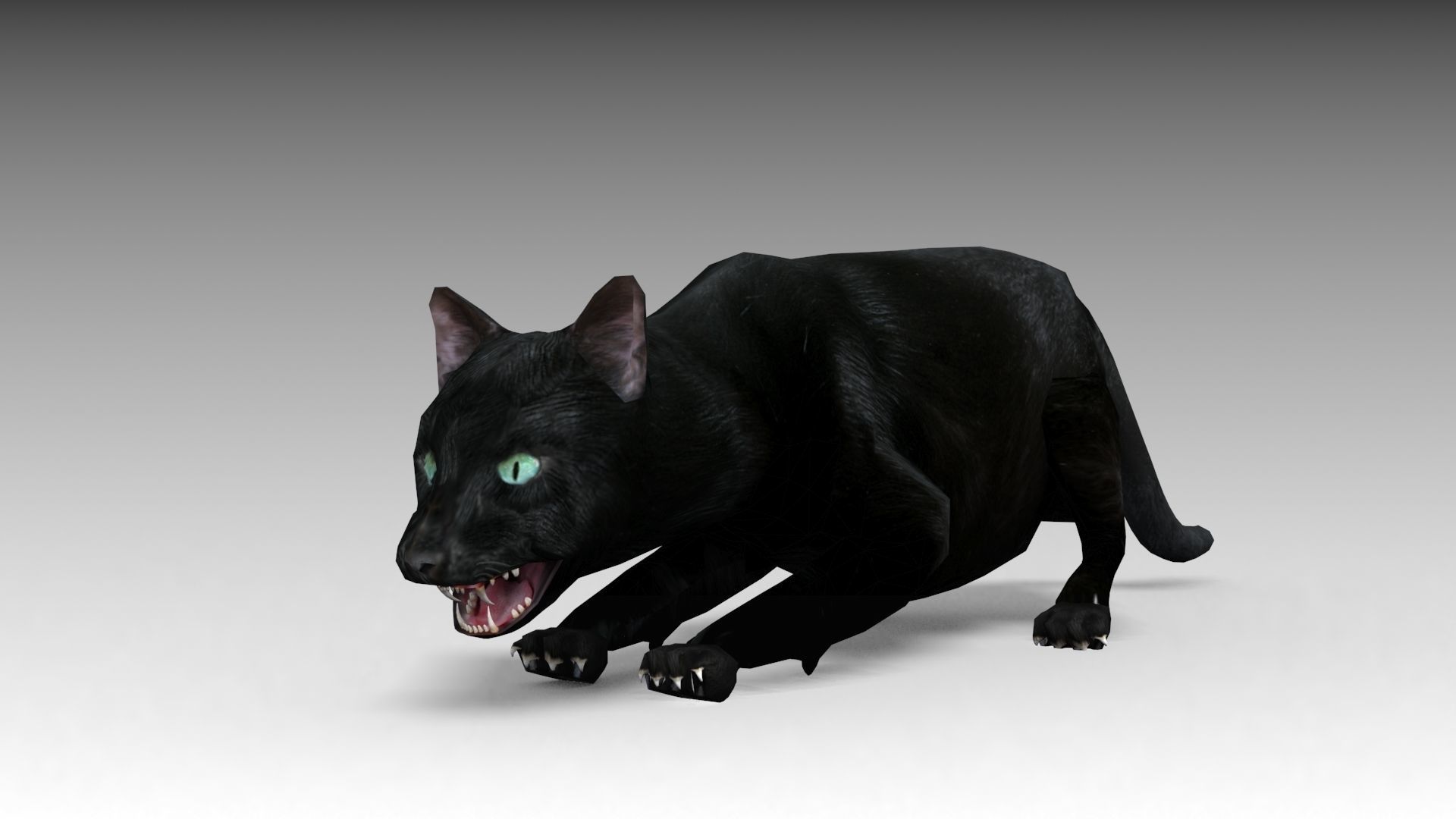 Black Cat Animated Low-poly 3D model_5